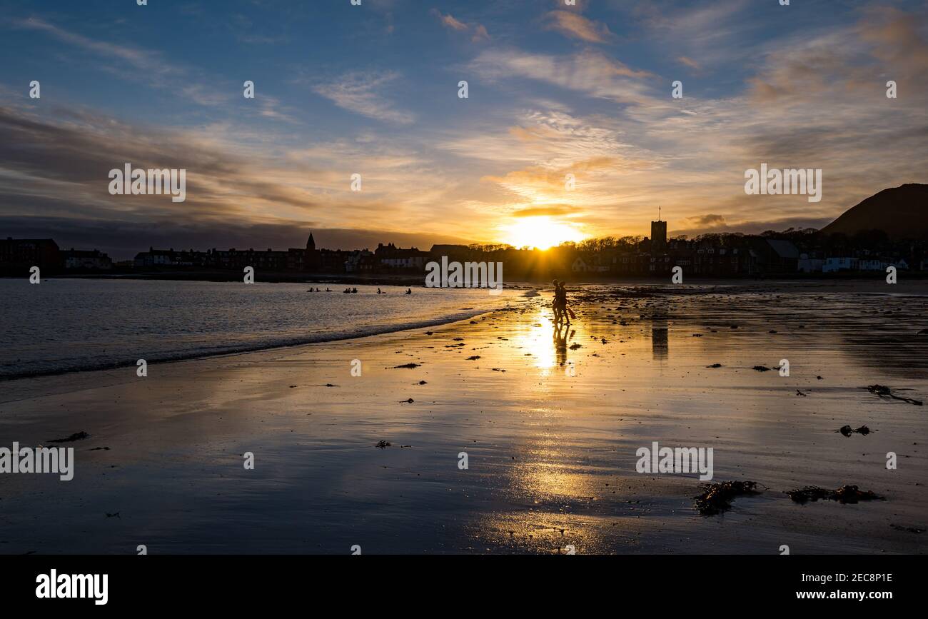 Wilde Schwimmer gehen in Firth of Forth Sea bei Sonnenaufgang, West Bay Beach, North Berwick, East Lothian, Schottland, Großbritannien Stockfoto