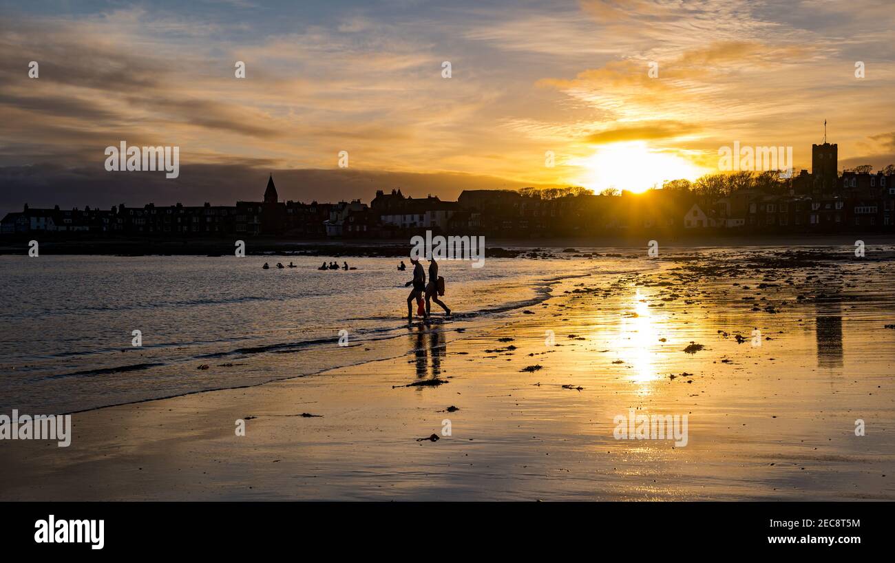 Wilde Schwimmer gehen in Firth of Forth Sea bei Sonnenaufgang, West Bay Beach, North Berwick, East Lothian, Schottland, Großbritannien Stockfoto