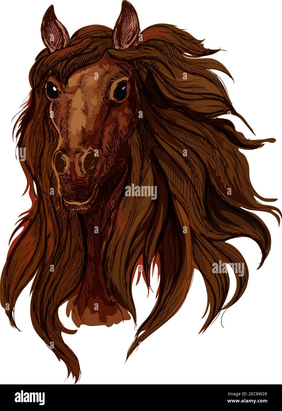 Braun Kastanie Laufpferd Porträt. Red Bay tobende Mustang mit langen welligen Mähne und glänzend schwarzen Augen Stock Vektor