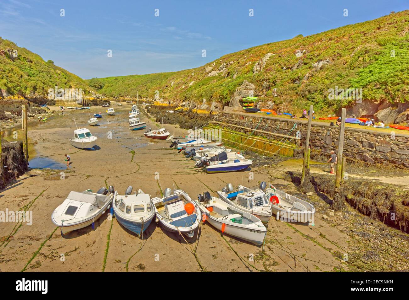 Porthclais Hafen in der Nähe der Stadt St. David's, Pembrokeshire, Wales, UK. Stockfoto