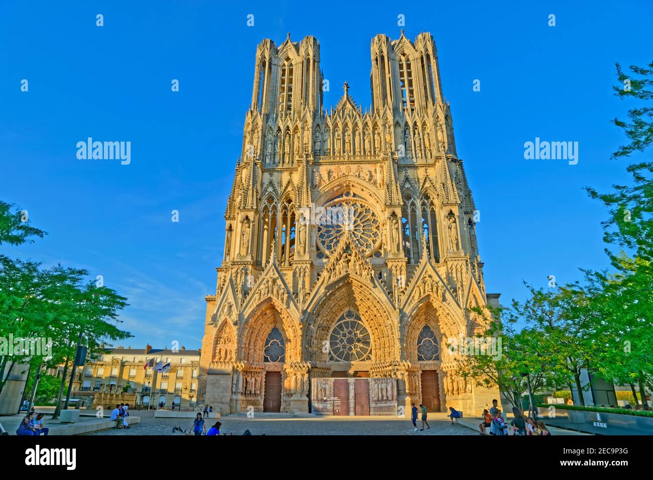 Kathedrale von Reims im Département Pyrénées-Orientales, in der Grand Est Region in Frankreich. Stockfoto