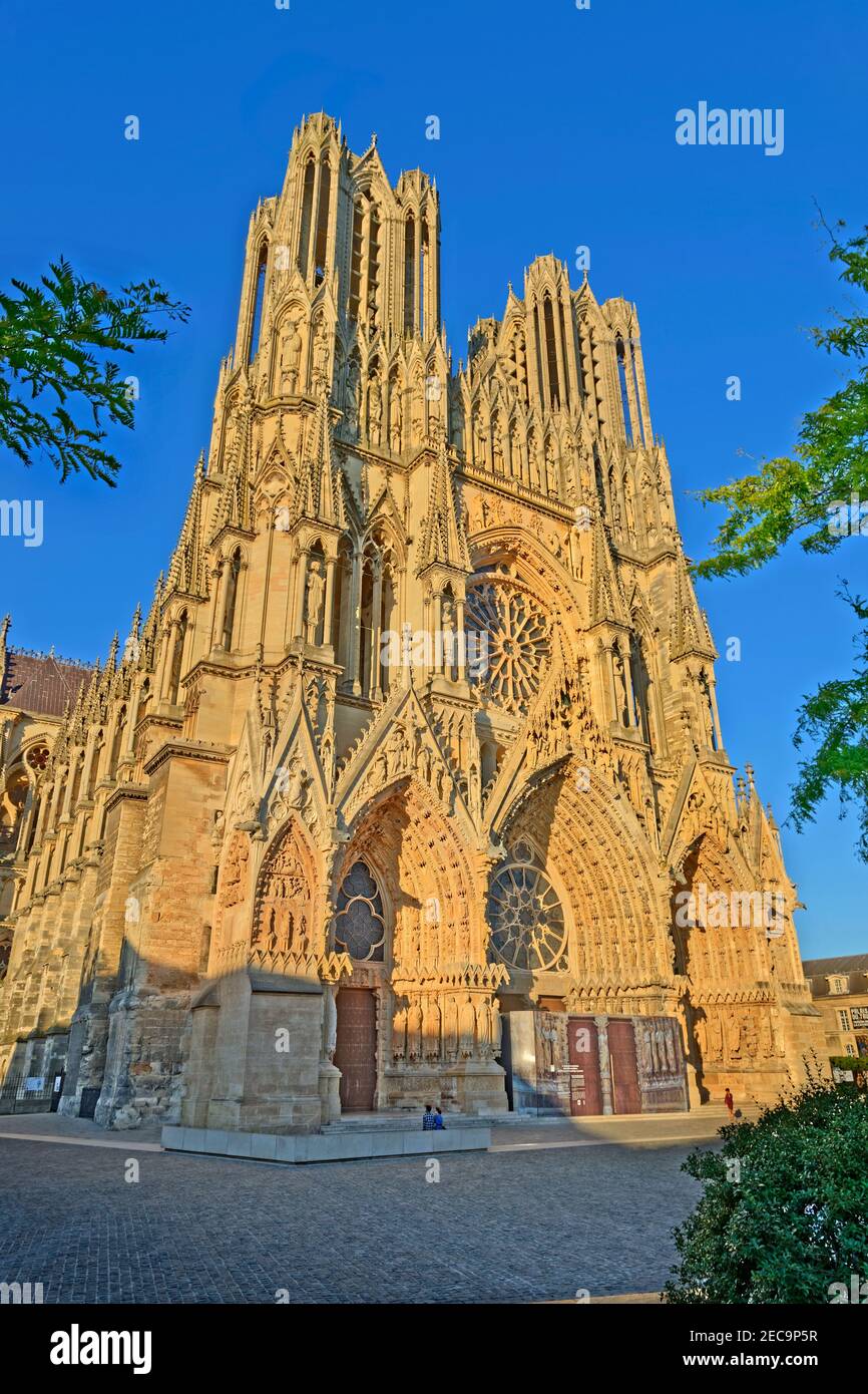 Kathedrale von Reims im Département Pyrénées-Orientales, in der Grand Est Region in Frankreich. Stockfoto