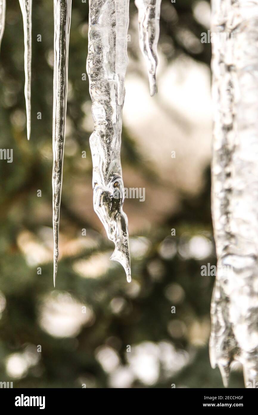 Eiszapfen Stockfoto