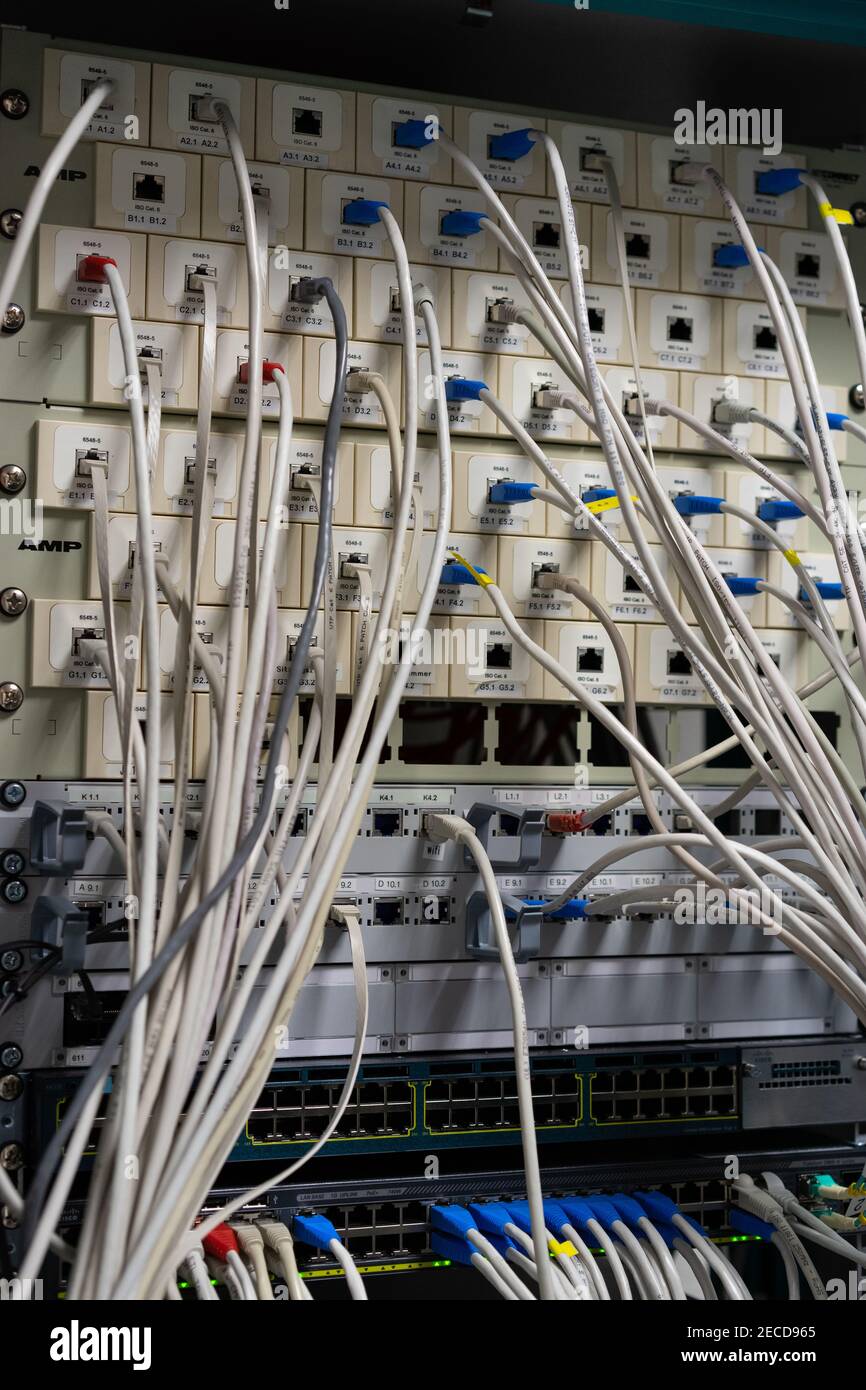 Netzwerkkabel und Switch, Rechenzentrum im Serverraum. Stockfoto
