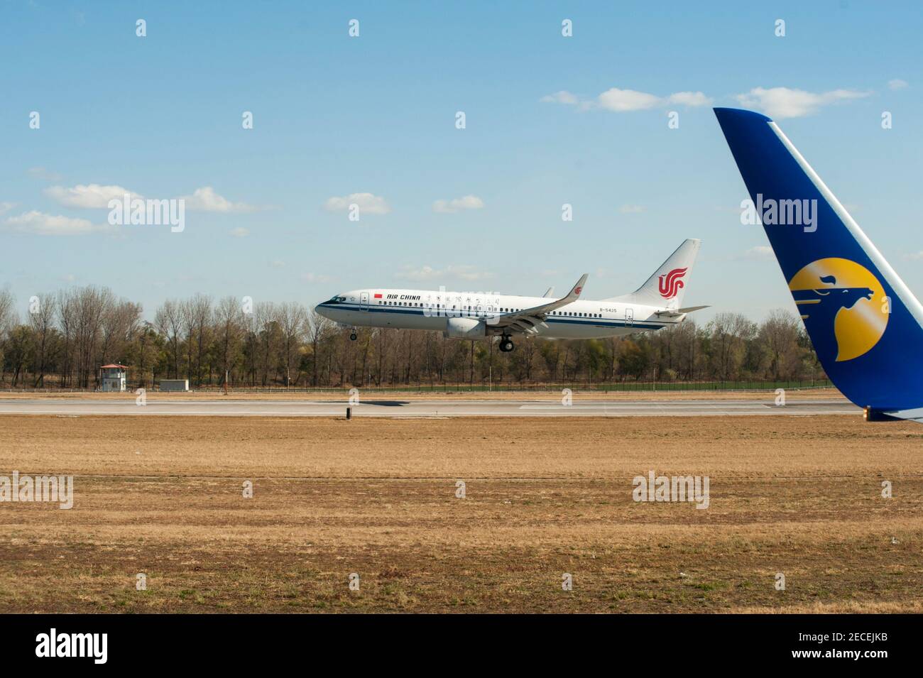 Ein Flugzeug der Air China fliegt am Flügelchen der Mongolian Airlines mit ihrem Logo vorbei und landet an einem sonnigen, blauen Himmel und an einem schadstofffreien Tag am Flughafen Beijing Capital im Shunyi-Viertel der chinesischen Hauptstadt Peking, China, VR China. © Time-Snaps Stockfoto