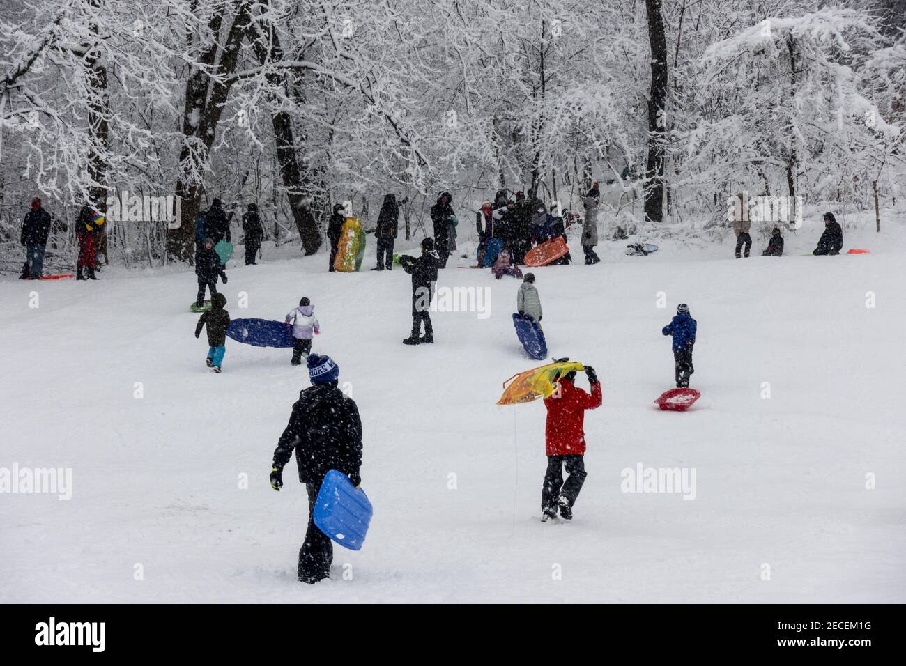 Kinder mit Eltern fahren nach einem großen Schneesturm im Winter 2021 im Prospect Park, Brooklyn, New York. Stockfoto