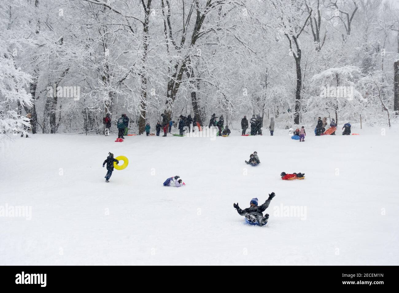 Kinder mit Eltern fahren nach einem großen Schneesturm im Winter 2021 im Prospect Park, Brooklyn, New York. Stockfoto