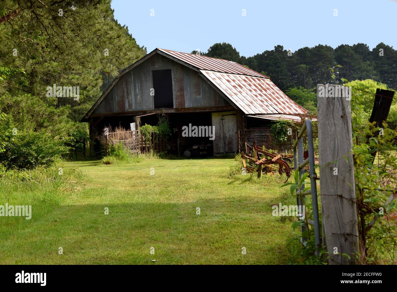 Rustikale Zinn Scheune liegt von einem Kieferndickicht umgeben. Gras wurde gemäht. Das Dach ist rostig. Holzzaunpfosten ist an der vorderen Ecke des Bildes. Stockfoto