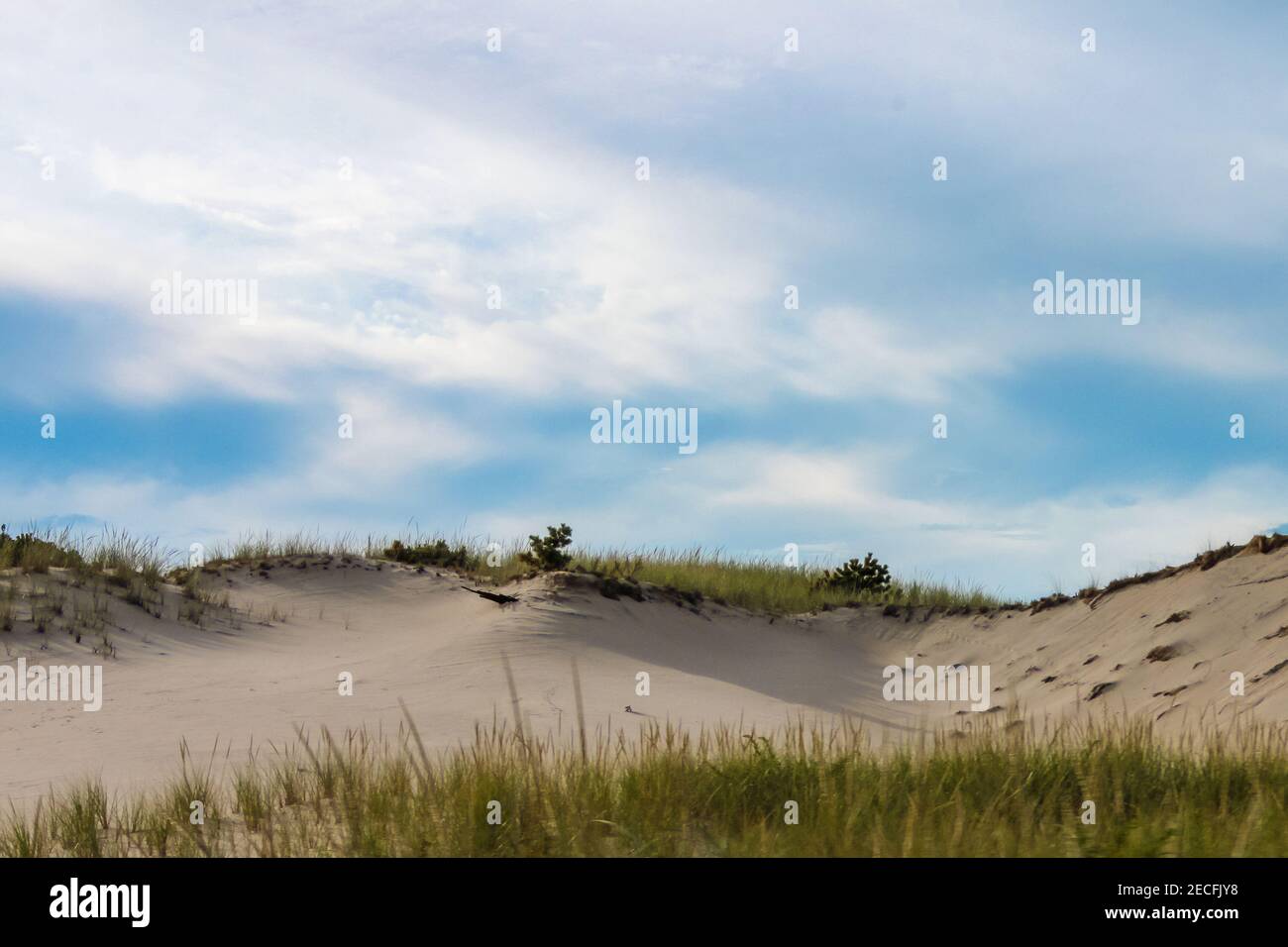 Gedriftete Sanddünen mit Gras am Grathorizont unter einem Blauer Himmel Stockfoto