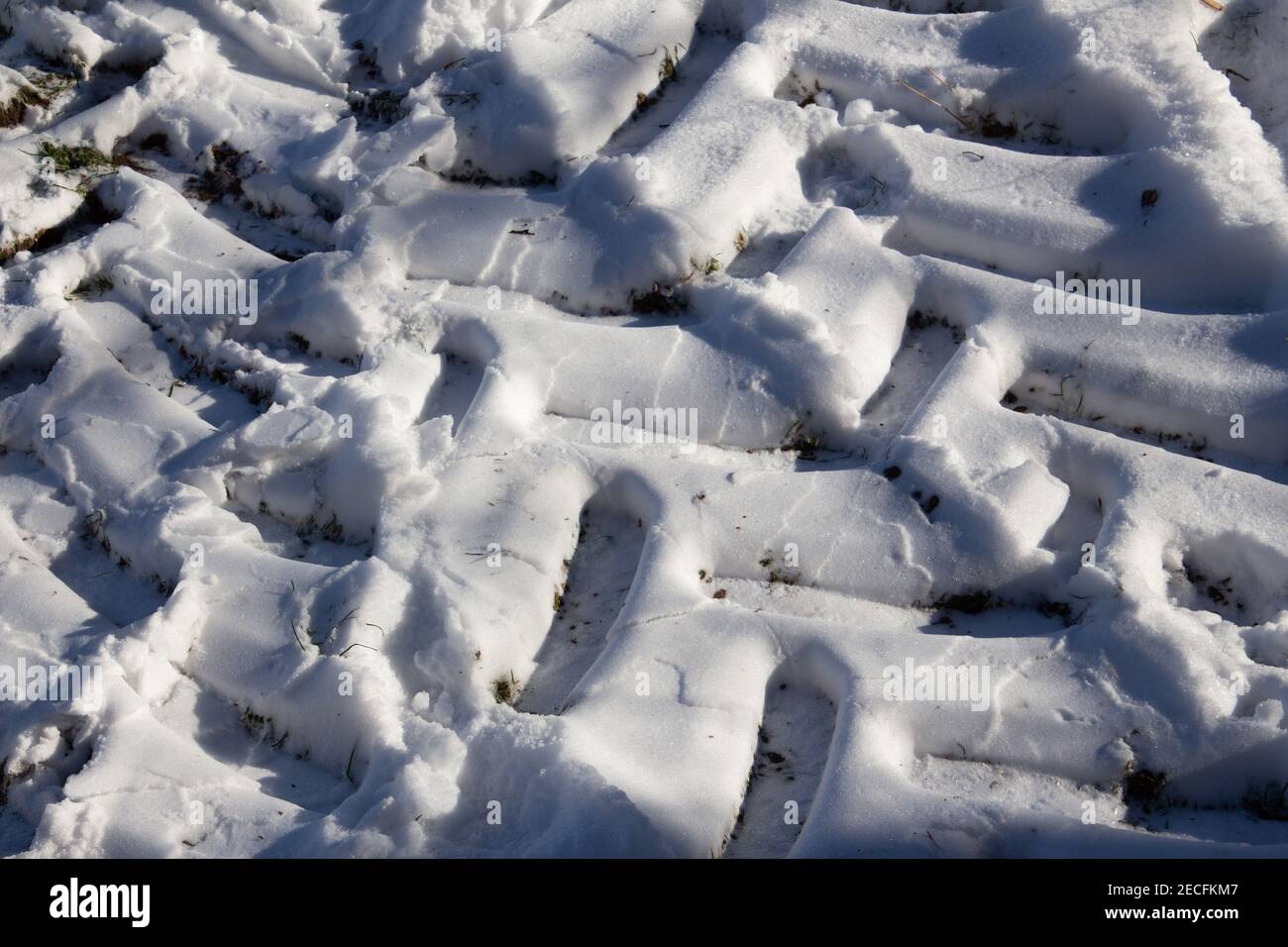 Traktorreifen Spuren im Schnee im Winter Stockfoto