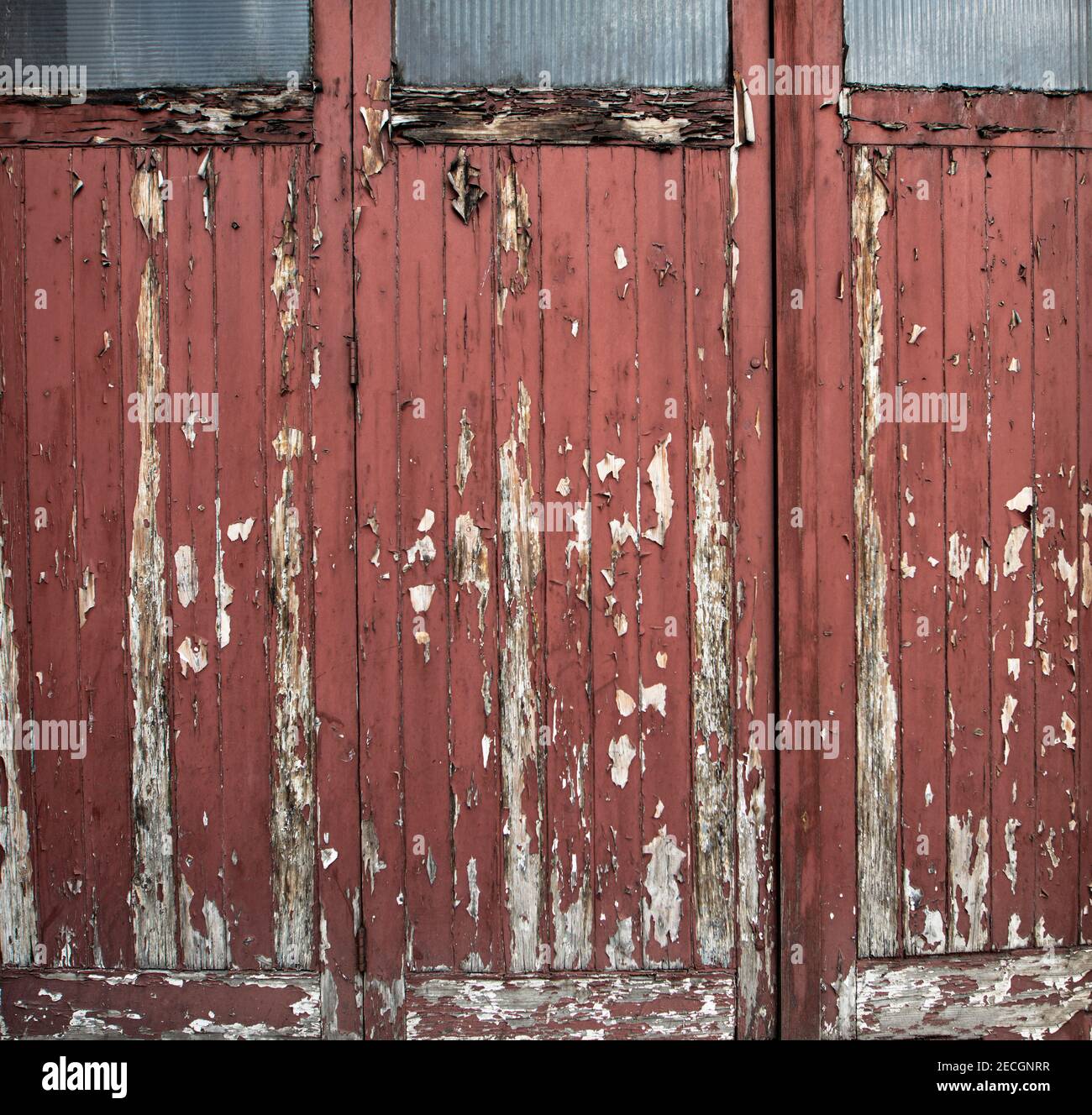 Garagentore in Kensington, London; abblätternde Farbe und verrottes Holz Stockfoto
