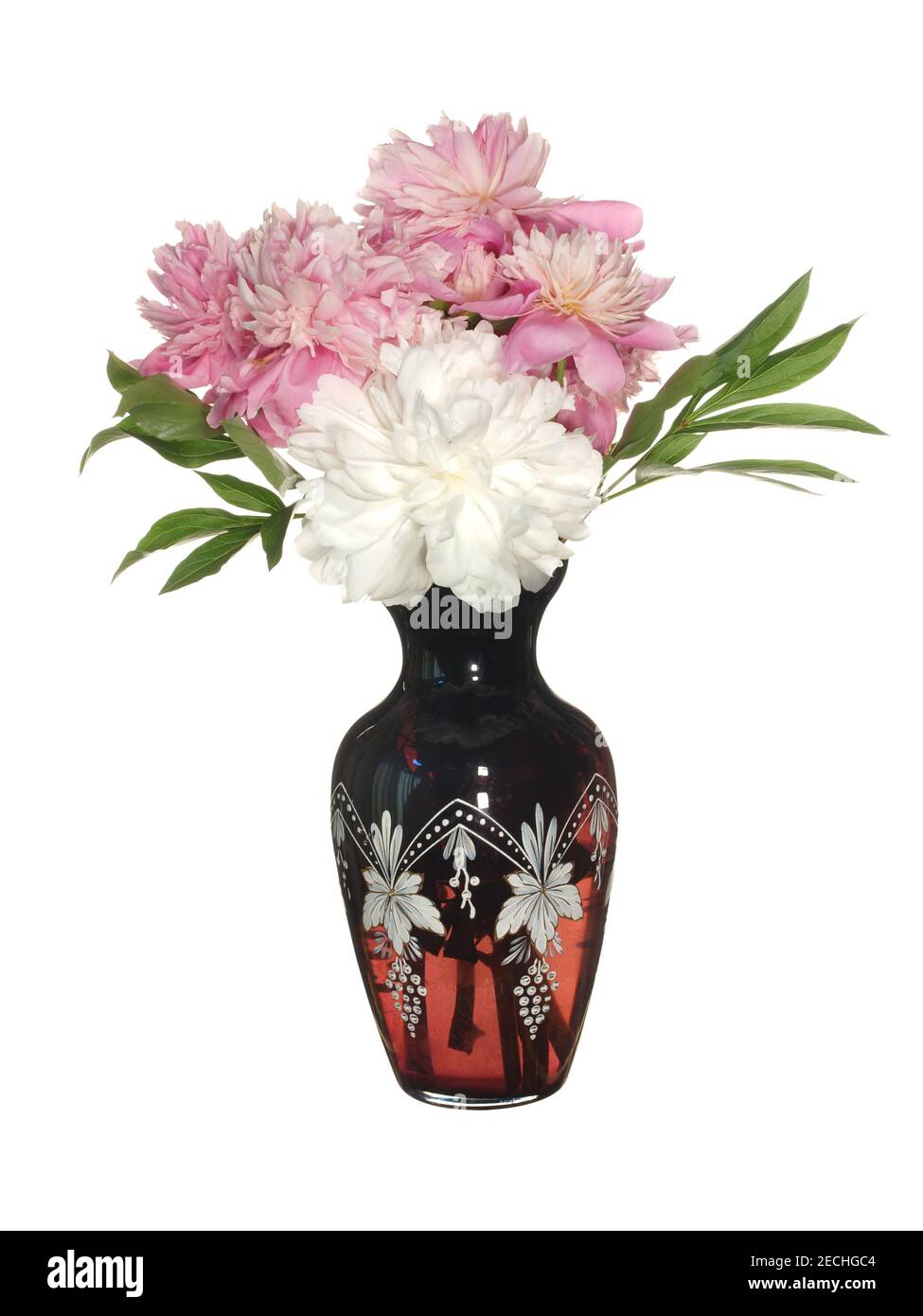 Schönes Bouquet von weißen und roten Pfingstrosen in einer Glasvase. Isoliert auf weißem Hintergrund. Stockfoto