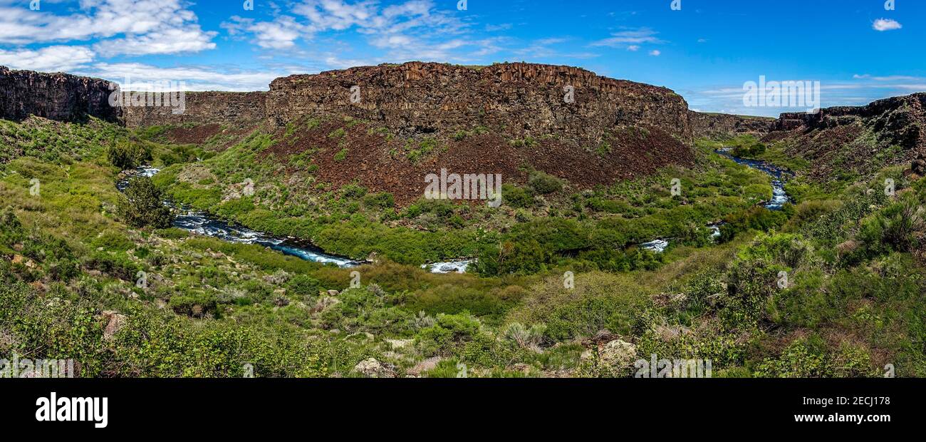 Das Earl Hardy Box Canyon Spings Nature Preserve ist eine der Einheiten des Thousand Springs State Park in Idaho. Die 11th größten in Nordamerika, Wasser Stockfoto