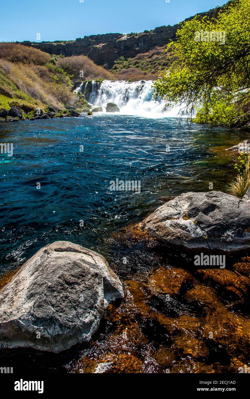 Das Earl Hardy Box Canyon Spings Nature Preserve ist eine der Einheiten des Thousand Springs State Park in Idaho. Die 11th größten in Nordamerika, Wasser Stockfoto