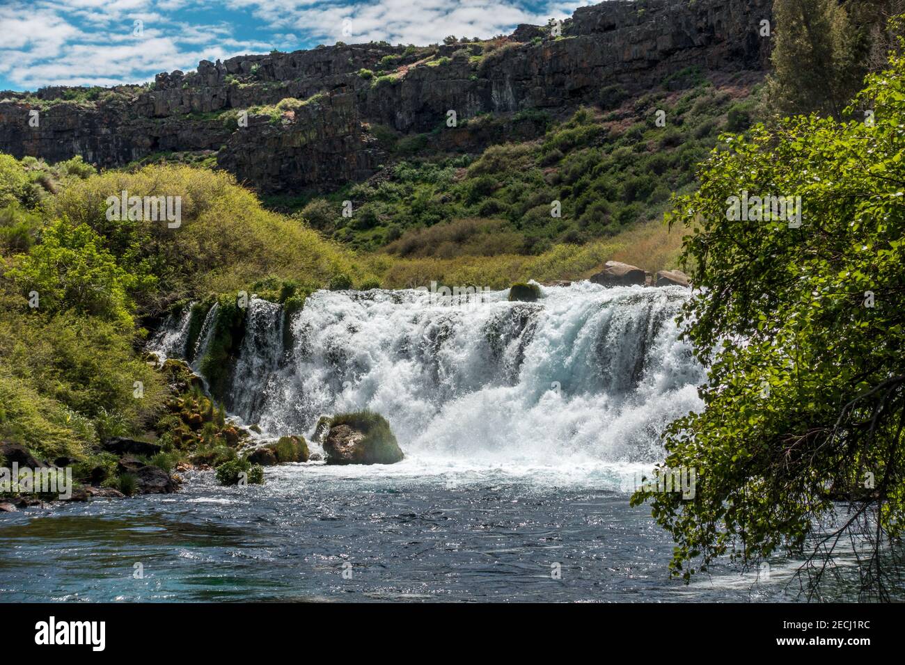 Das Earl Hardy Box Canyon Spings Nature Preserve ist eine der Einheiten des Thousand Springs State Park in Idaho. Die 11th größten in Nordamerika, Wasser Stockfoto