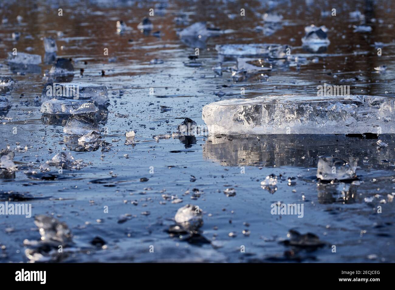 Eissplitter und Brocken auf einem blau gefrorenen Fluss oder See im kalten Winter, Nahaufnahme. Stockfoto