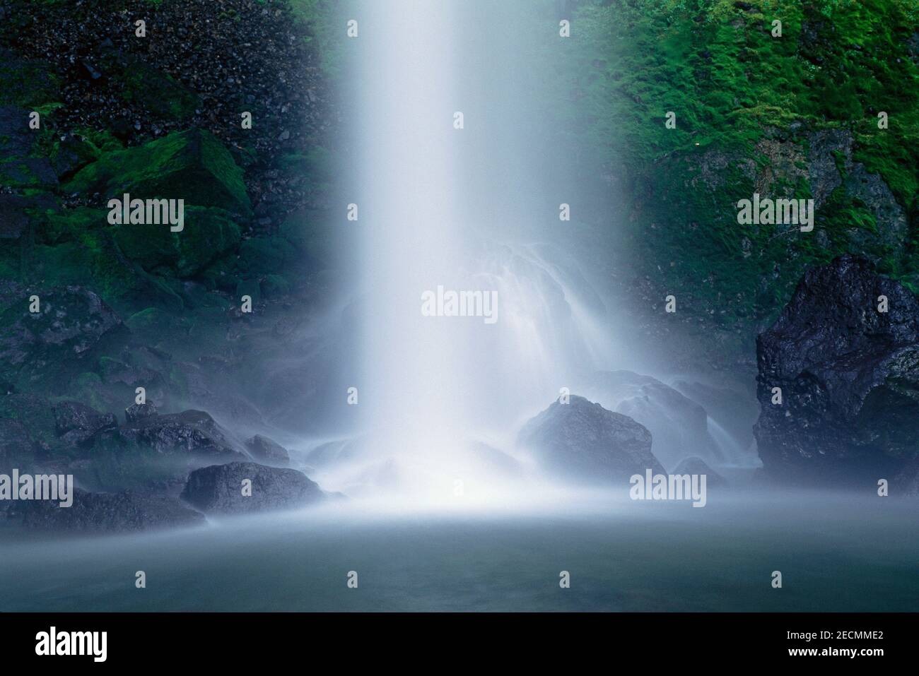 Elowah Falls, Columbia River, Oregon, USA Stockfoto