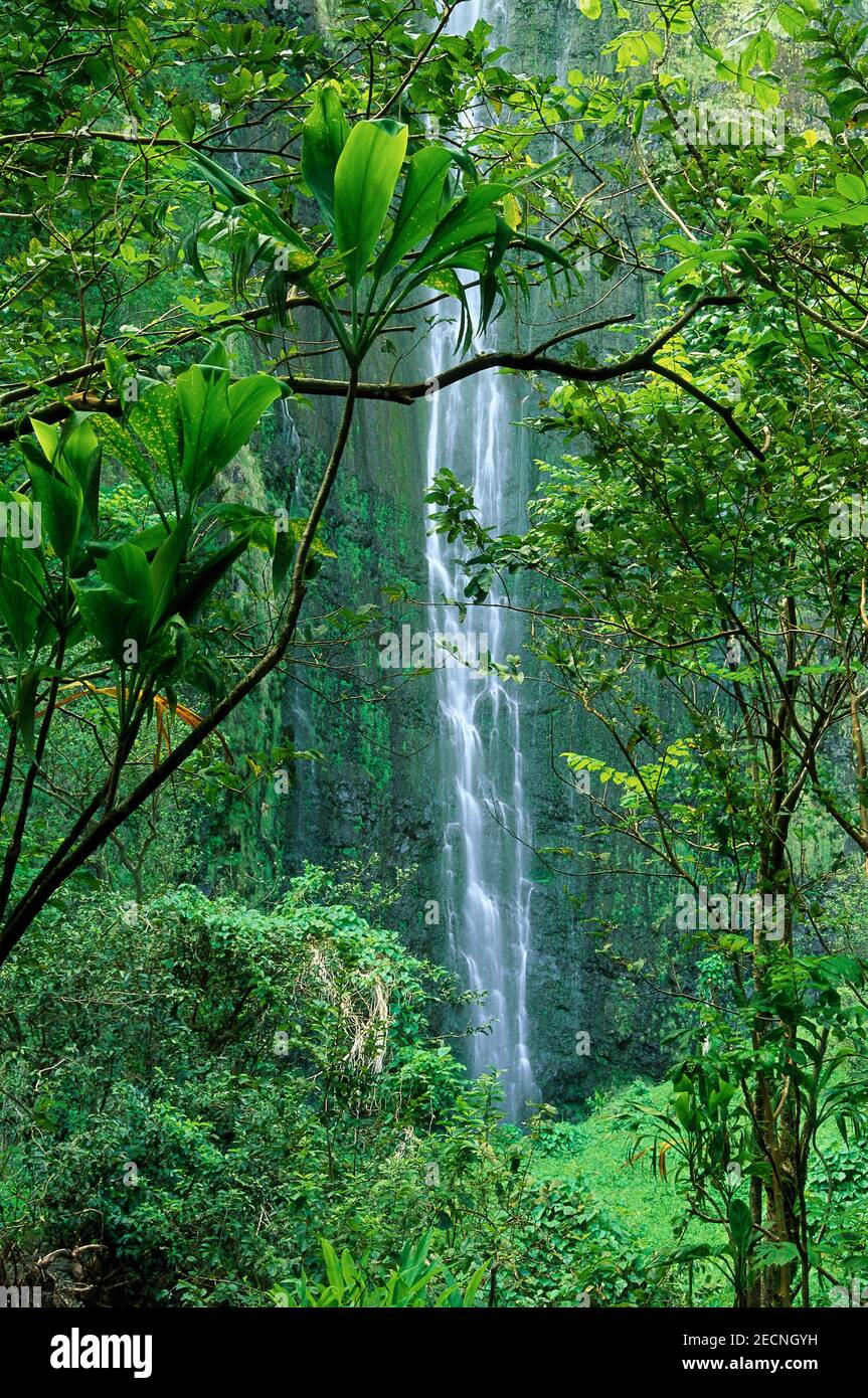 Hanakapiai Falls, Na Pali Coast, Maui, Hawaii, USA Stockfoto