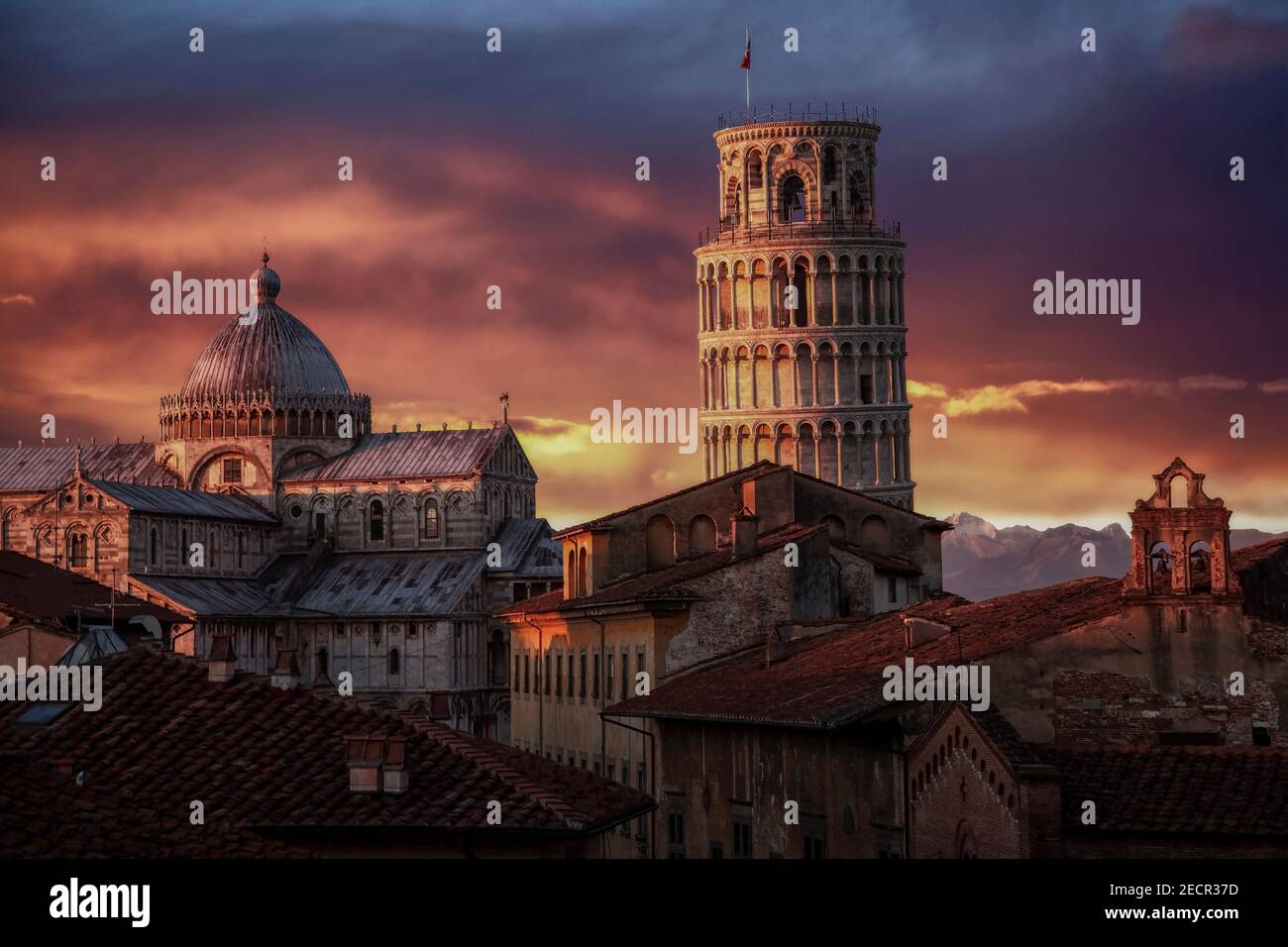 Campanile, Schiefer Turm von Pisa und Kathedrale Santa Maria Assunta, Pisa, Provinz Pisa, Toskana, Italien, Stockfoto