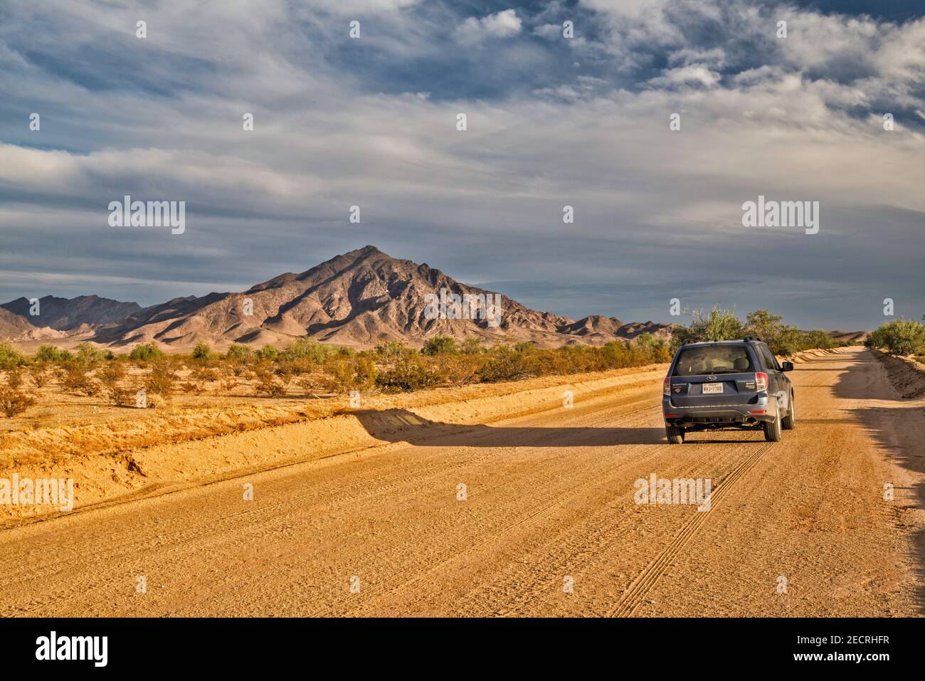 Big Maria Mountains, Mojave Desert, Blick von der Rice Midland Road, Kalifornien, USA Stockfoto