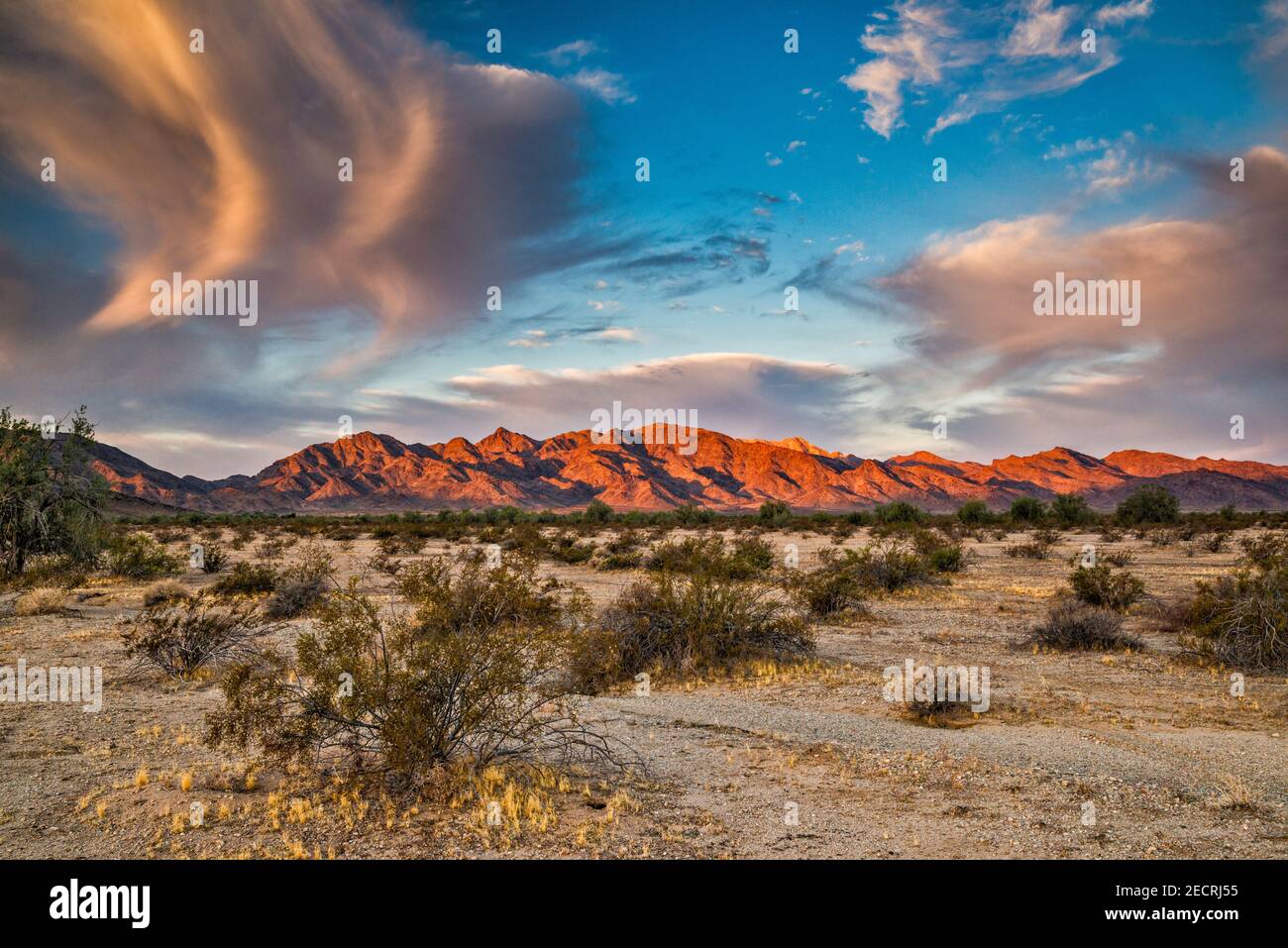 Altocumulus Wolken, Little Maria Berge, Mojave Wüste, bei Sonnenaufgang, Blick vor Rice Midland Road, Kalifornien, USA Stockfoto