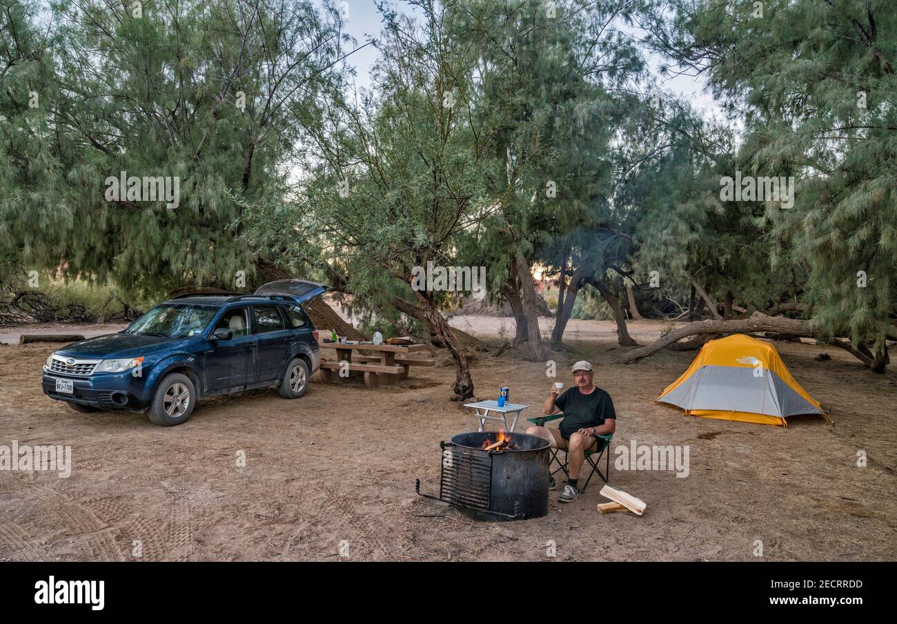 Camper am Feuerring, Mesquite-Bäume, Campingplatz auf Campingplatz am Picacho State Recreation Area, Sonoran Desert, in der Nähe von Yuma, Kalifornien, USA Stockfoto