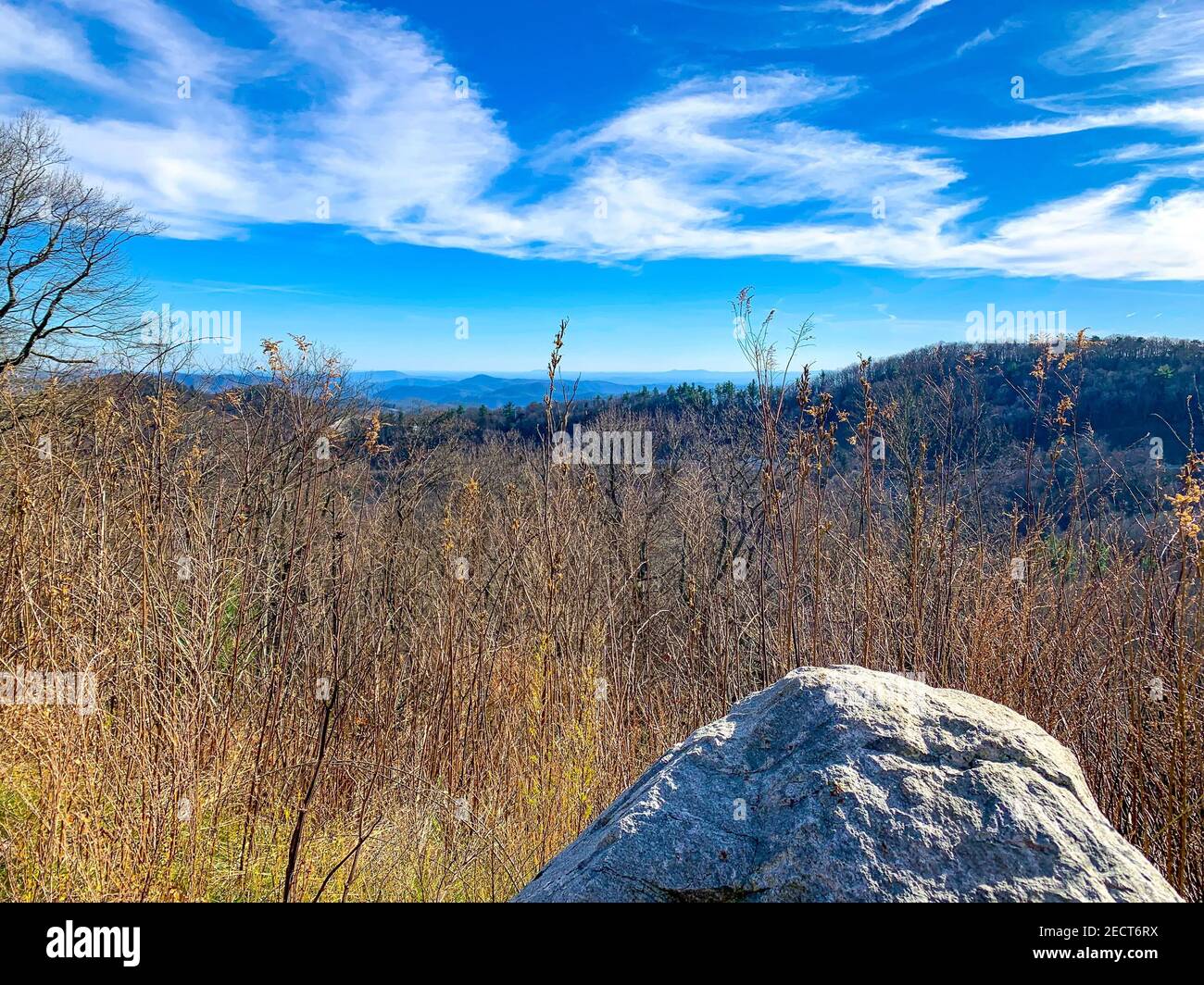 Laub in den Hügeln der Blue Ridge Mountains Stockfoto