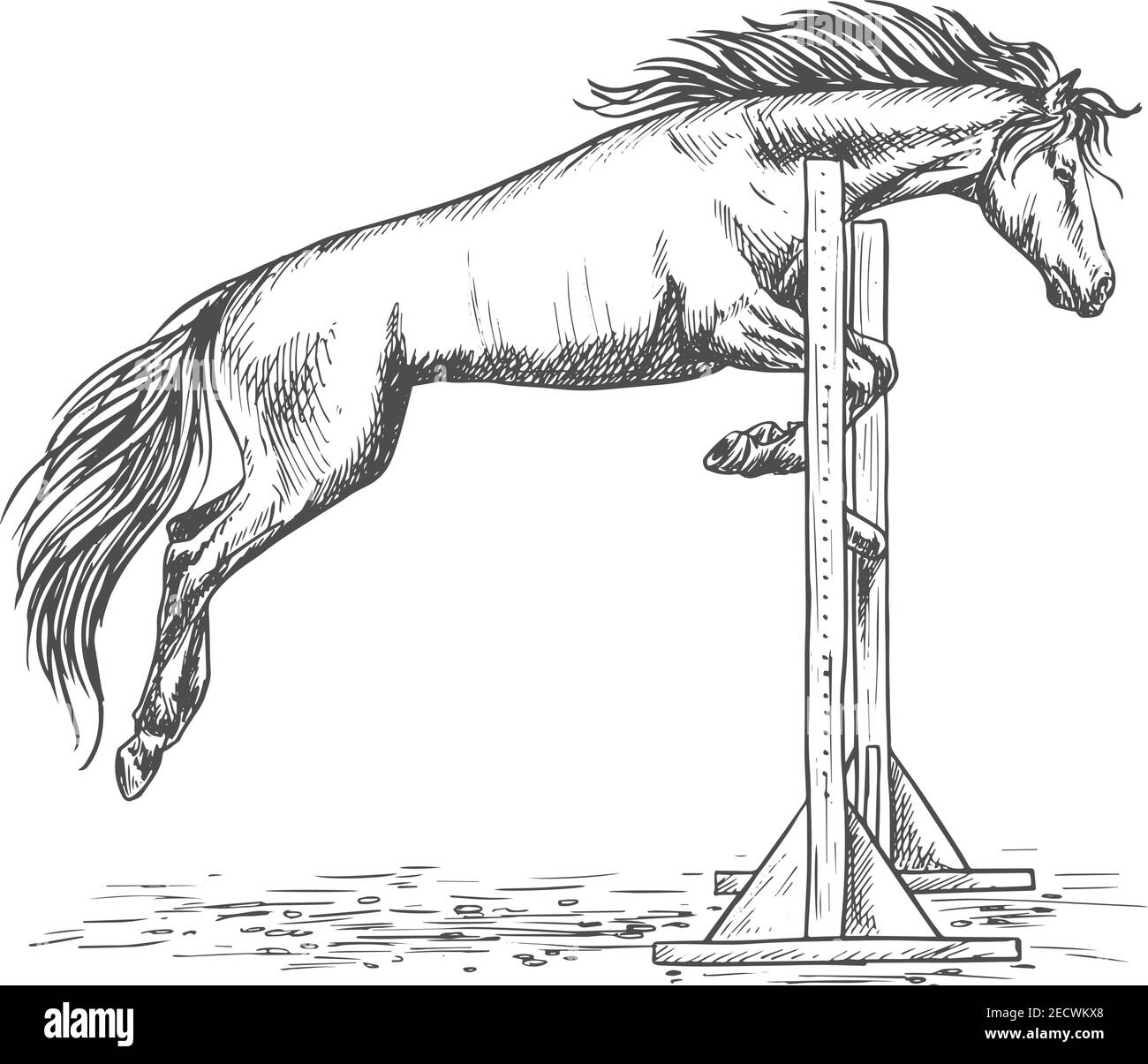 Weißes Pferd Rennen und springen über Barriere Skizze Porträt. Ausgebildeter Mustang Hengst auf Hippodrome Sport Pferderennen Stock Vektor