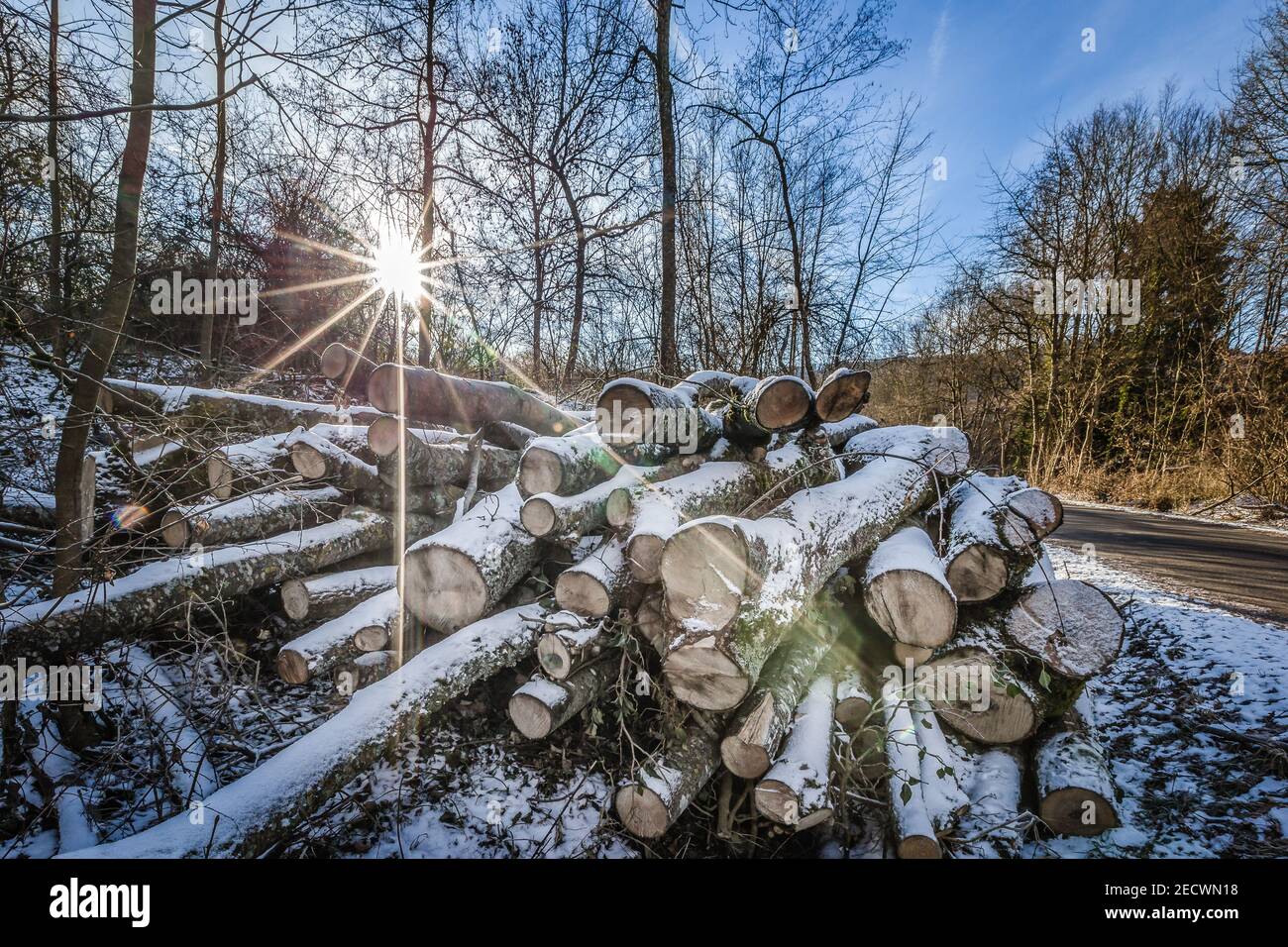 Schnee und Sonnenlicht in den Wäldern Baden-Württembergs in Deutschland Stockfoto Schnee und Sonnenlicht in den Wäldern Baden-Württembergs in Deutschland Stockfoto