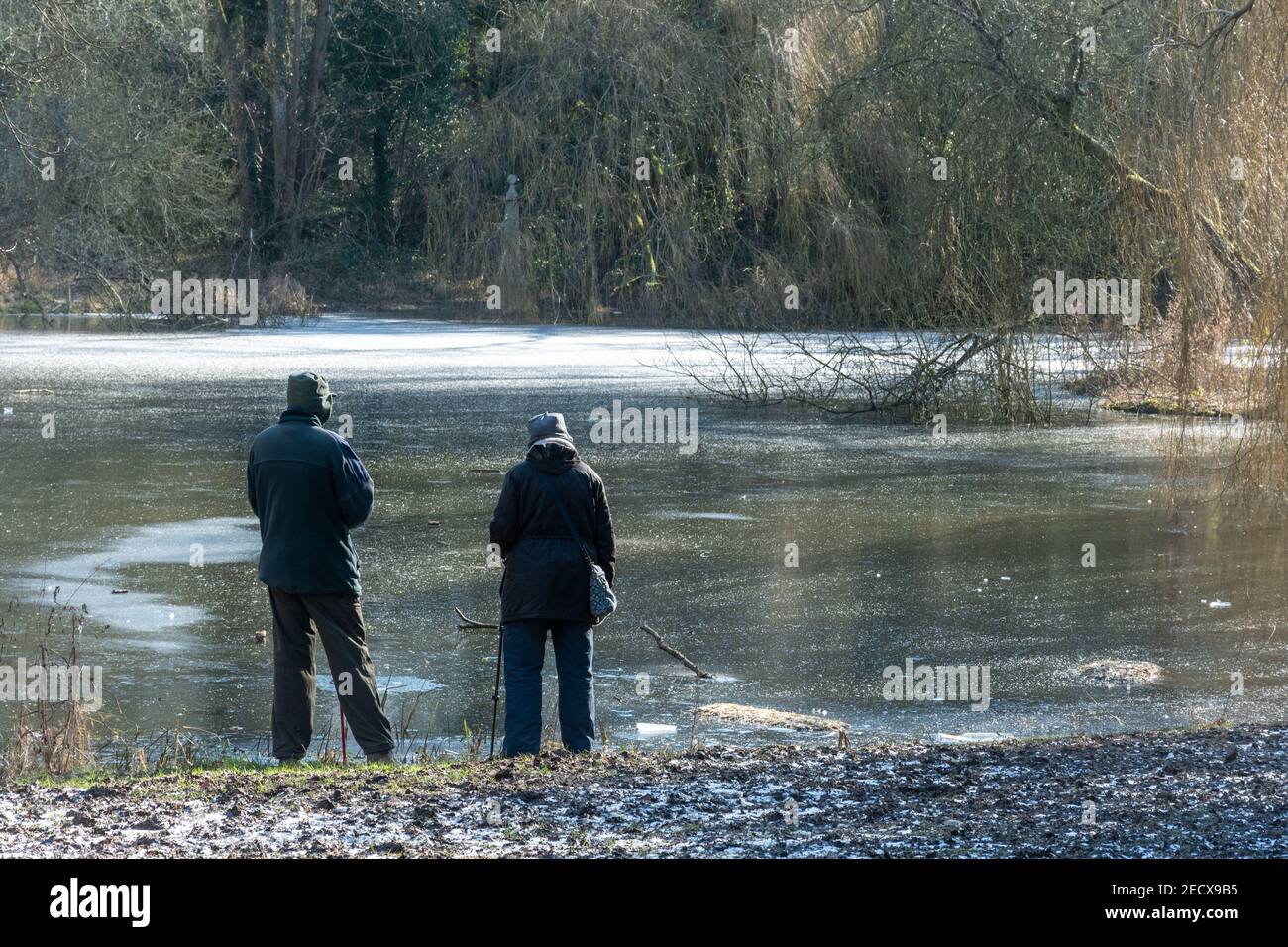 Seniorenpaar neben gefrorenem Fischteich namens Wilks Water in der Nähe des Basingstoke Canal in Odiham, Hampshire, Großbritannien, im Winter oder Februar Stockfoto