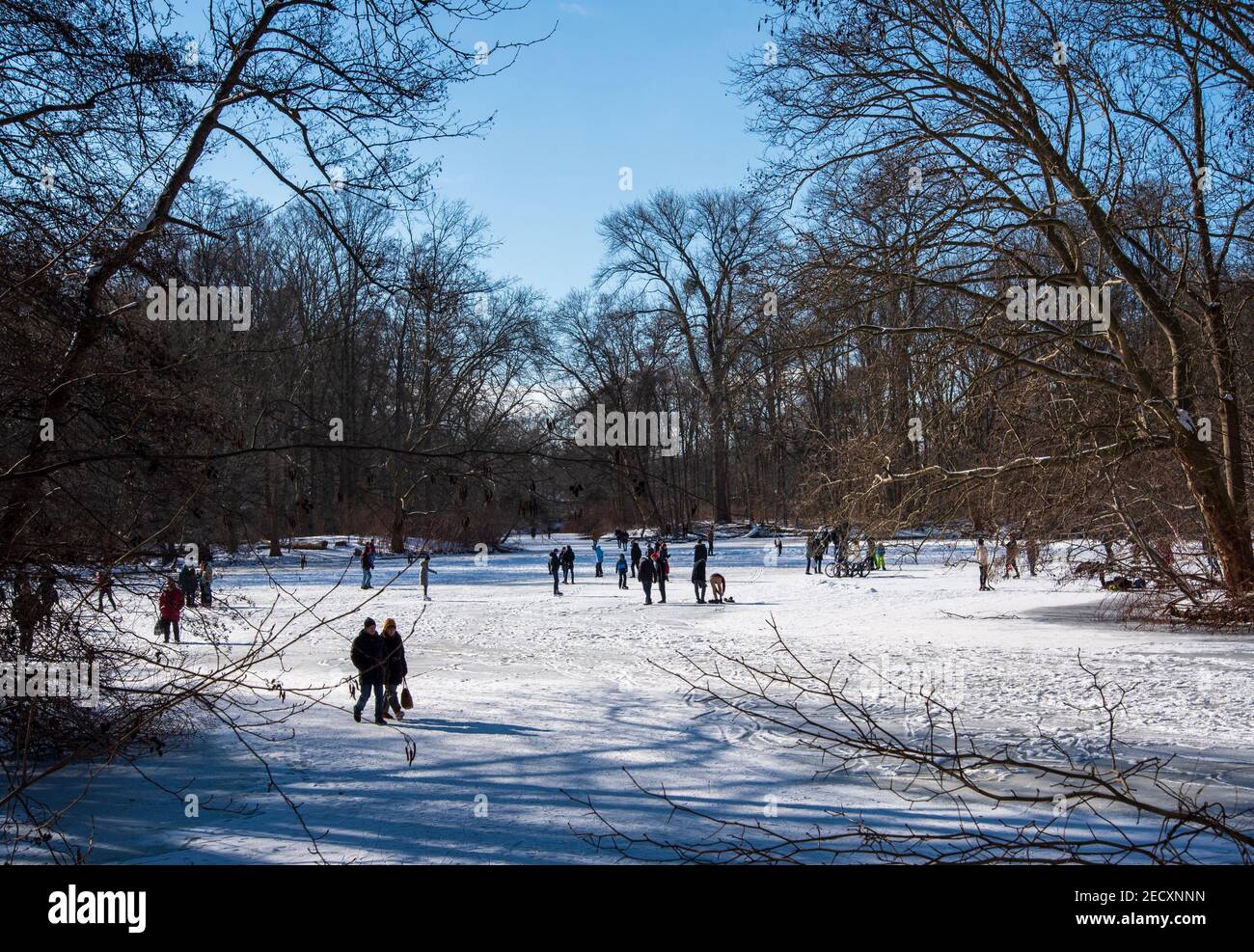 Schlittschuhlaufen in Wintersonne auf gefrorenem See im Tiergarten park in Berlin Stockfoto