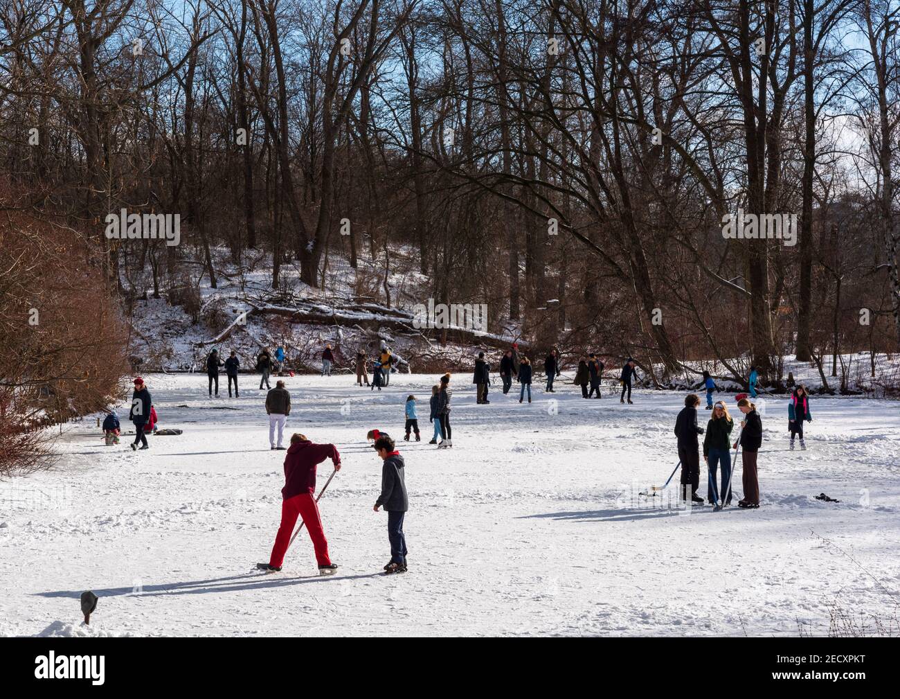 Schlittschuhlaufen in Wintersonne auf gefrorenem See im Tiergarten park in Berlin Stockfoto