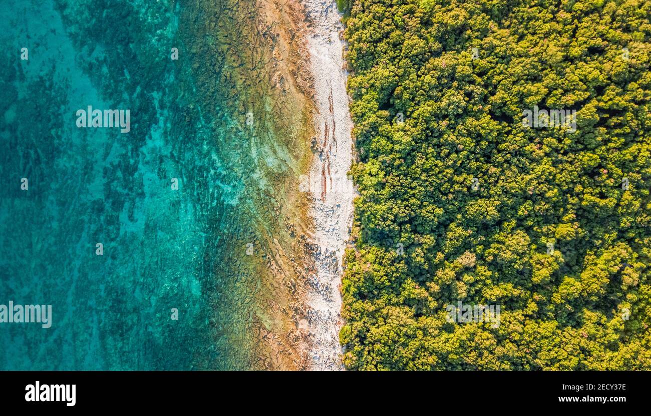 Drohnenblick auf den Strand von Cisterna mit seiner üppigen Vegetation Und türkisfarbenes Wasser in Rovinj Kroatien Stockfoto