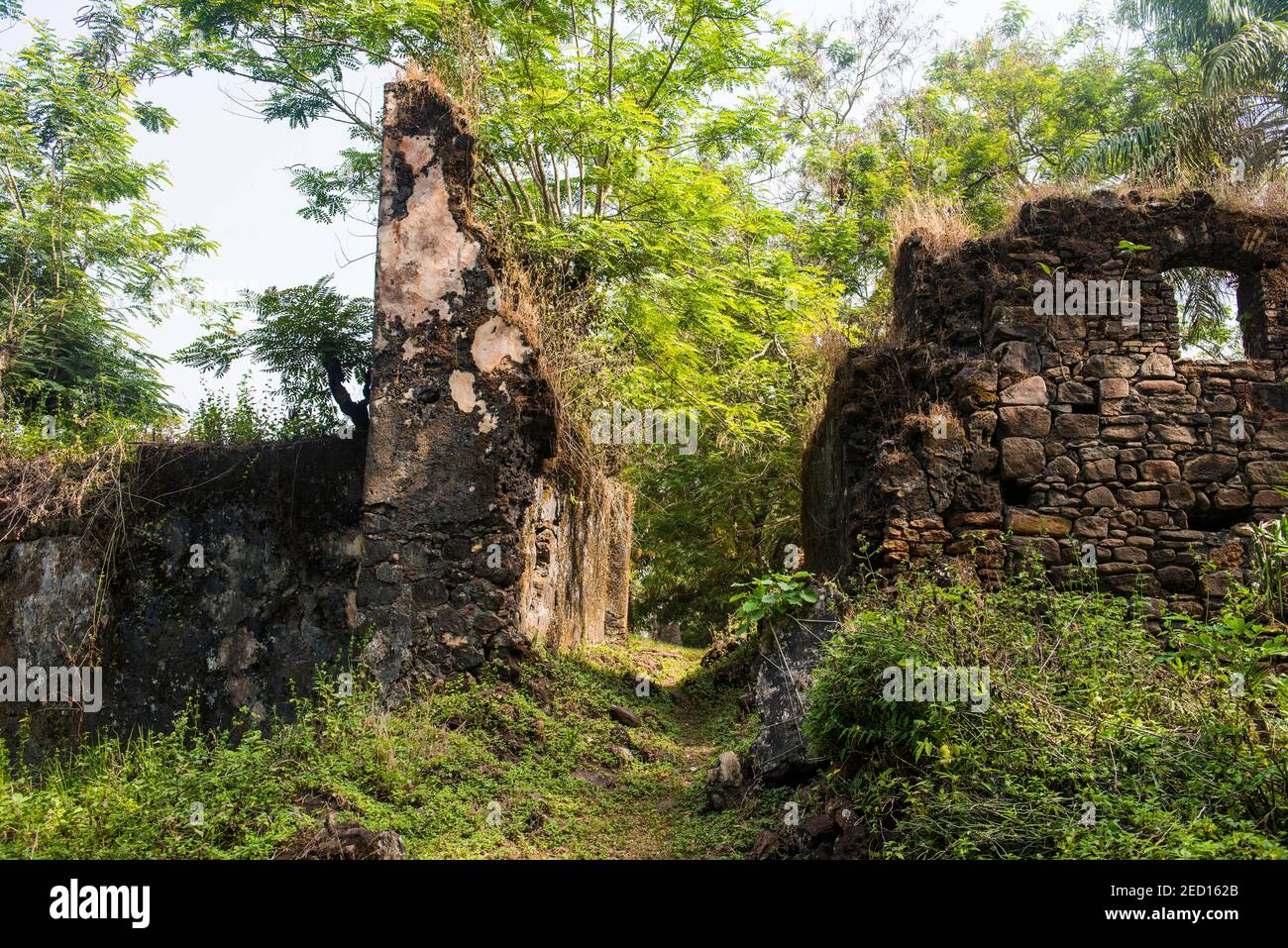 Alte Ruinen auf der ehemaligen sklave Kolonie Bunce Insel, Sierra Leone Stockfoto