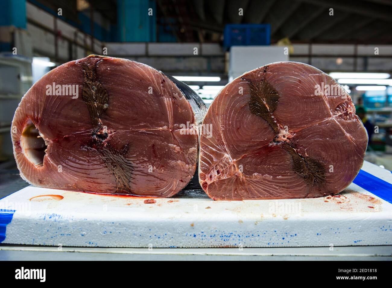 Frischer Thunfisch, der Fischmarkt von Jeddah, Saudi-Arabien Stockfoto