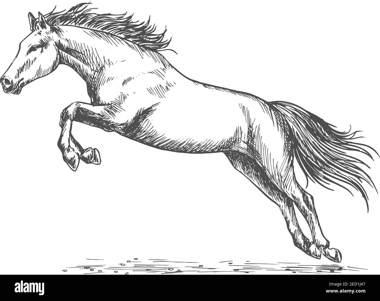 Pferderennen. Wilde Mustang laufen, aufziehen und hoch springen mit aufgelaufenen Vorderhufen. Vektor Pferd Emblem für Sport Pferderennen Stock Vektor