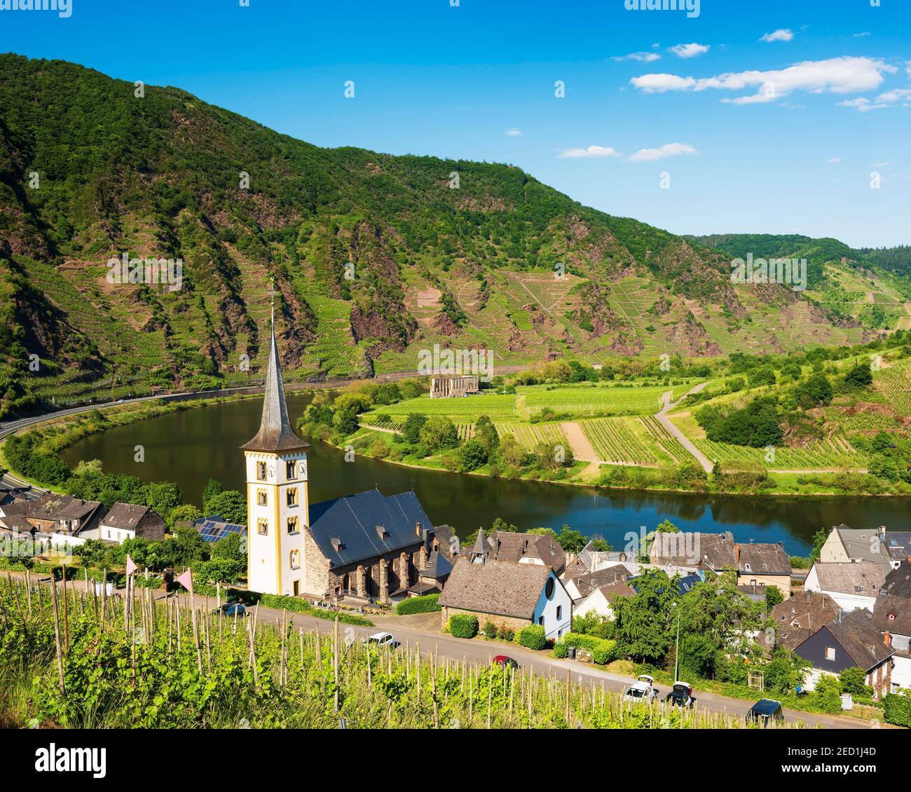 Weinbaudorf Bremm an der Mosel mit St. Laurentius Kirche, im Hintergrund die Klosterruine Stuben, Bremm, Rheinland-Pfalz, Deutschland Stockfoto