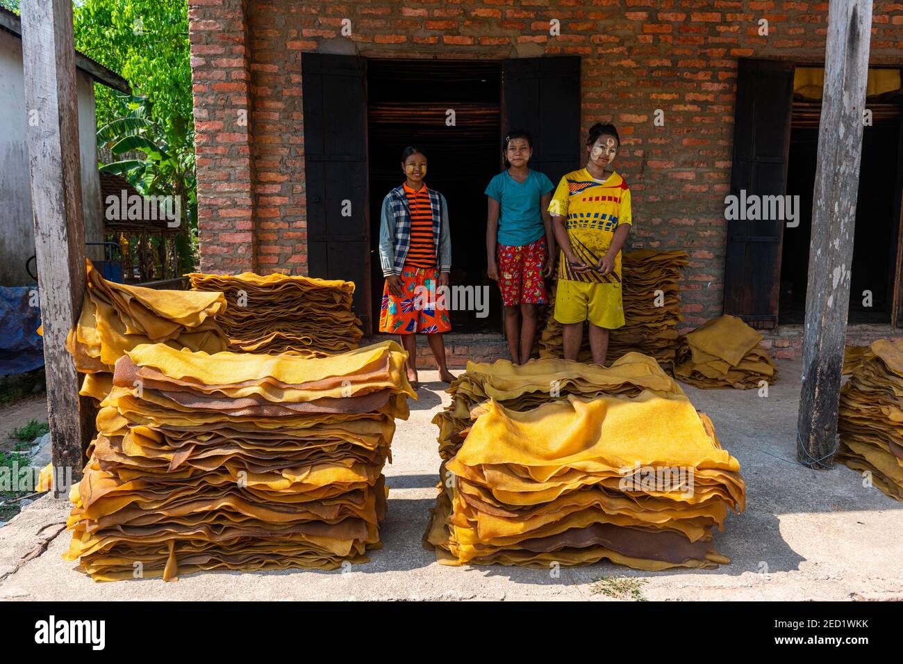 Lokale Arbeiter auf einer Kautschukplantage in der Nähe von Myeik oder Mergui, Myanmar Stockfoto