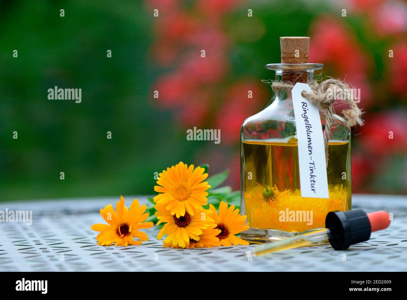 Flasche mit -Tinktur, Marigoldstinktur Stockfoto