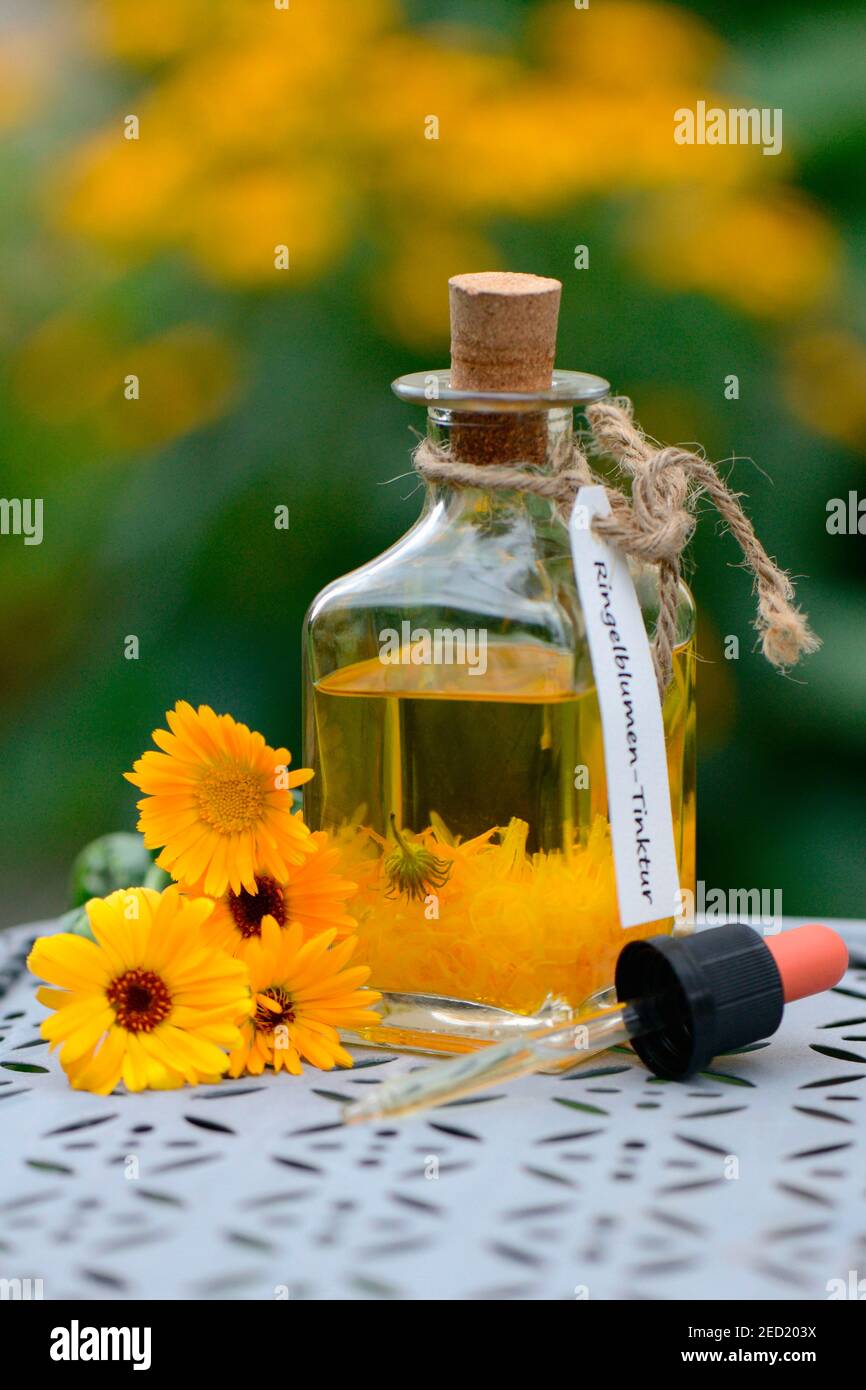 Flasche mit -Tinktur, Marigoldstinktur Stockfoto