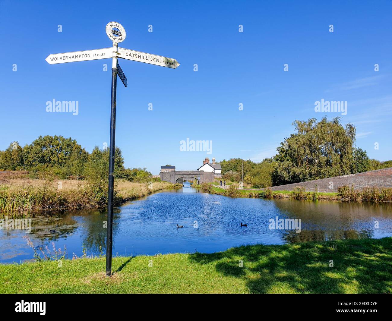 Pelsall, Walsall, Birmingham Canal Navigations Society, Summer Nature Reserve, West Midlands, England, Großbritannien Stockfoto