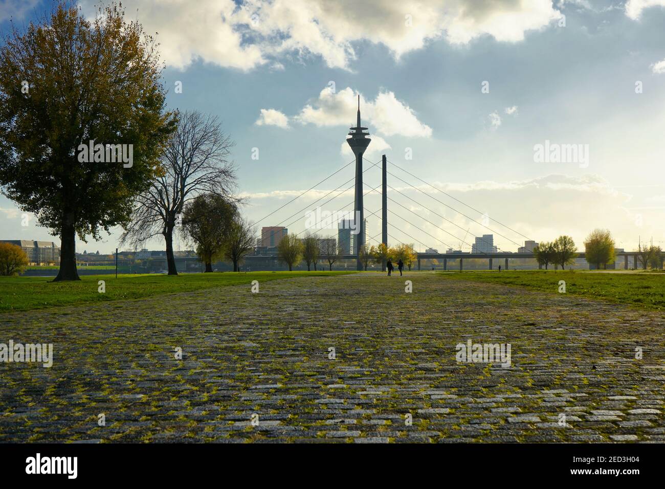 Stimmungsvolle Herbstlandschaft in Düsseldorf, Deutschland. Blick vom Ortsteil Oberkassel auf den Wahrzeichen-Rheinturm. Stockfoto