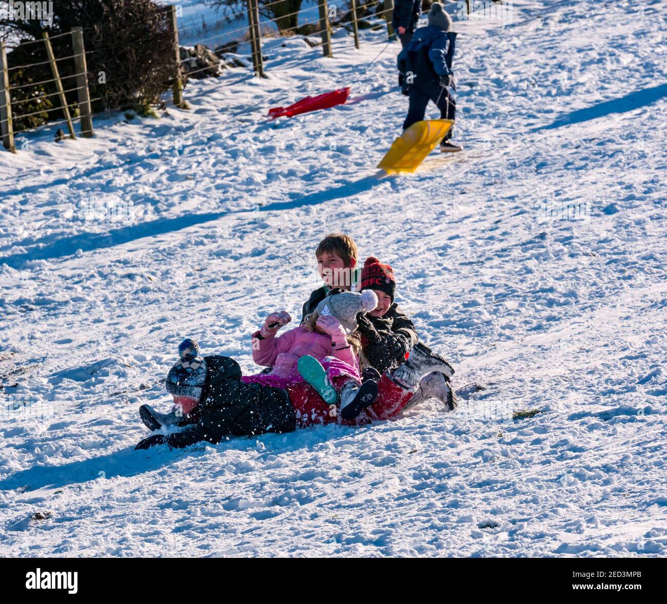 Vier Kinder, die Spaß haben, auf einem Schlitten im Winter Schnee und Sonnenschein, East Lothian, Schottland, Großbritannien, einen Hang hinunter zu gleiten Stockfoto