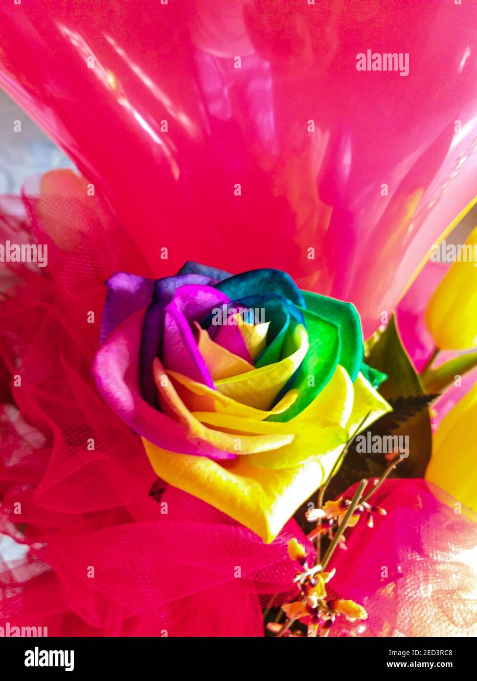 Boquet mit bunten Rosen und Tulpen als Geschenk für Valentinstag Stockfoto