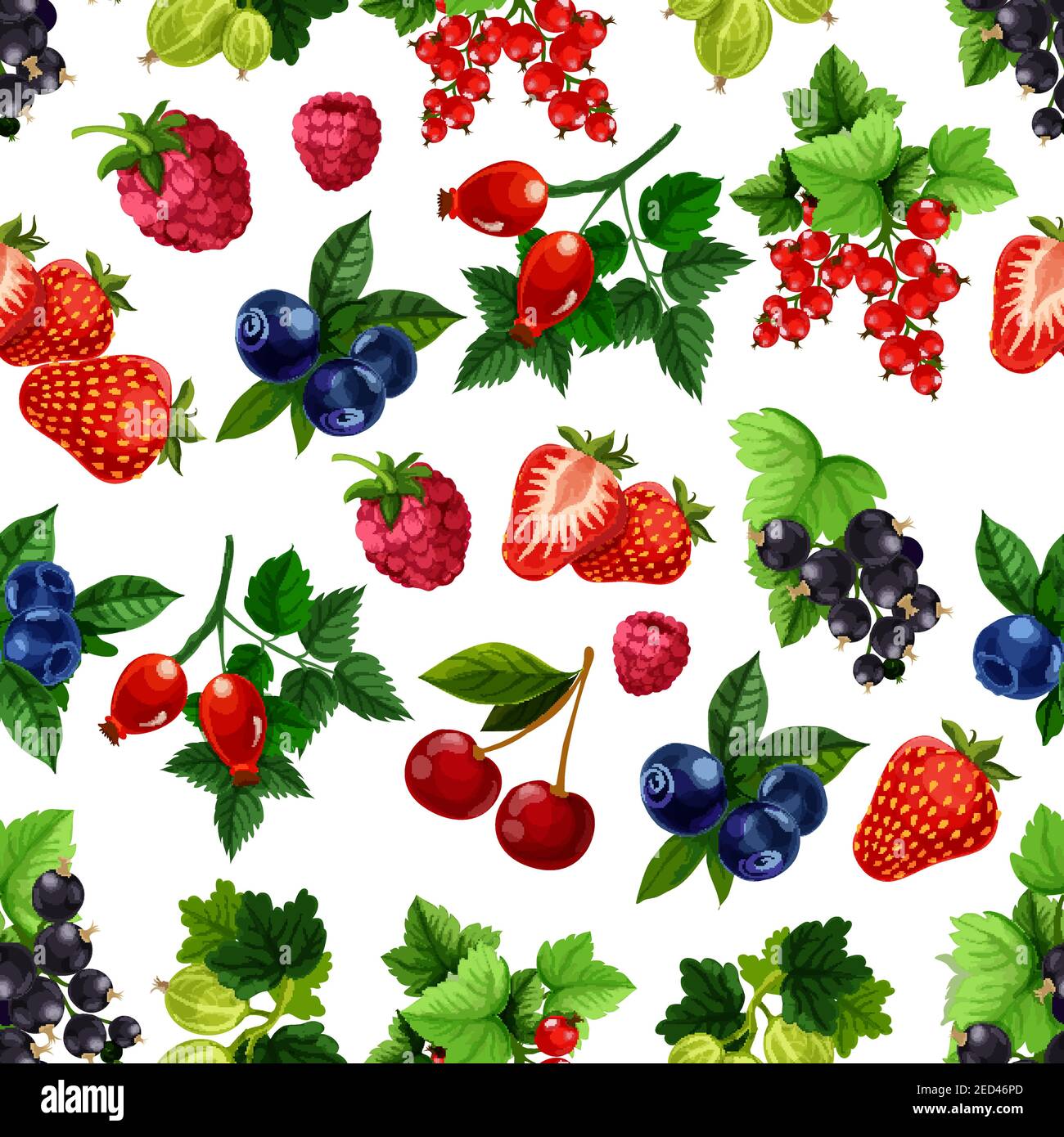 Beeren Früchte Muster. Vektor nahtlose Hintergrund von Erdbeere, Himbeere, Heidelbeere, schwarze Johannisbeere, rote Johannisbeere, Kirsche, Stachelbeere, Briar-Beerenbrötchen Stock Vektor