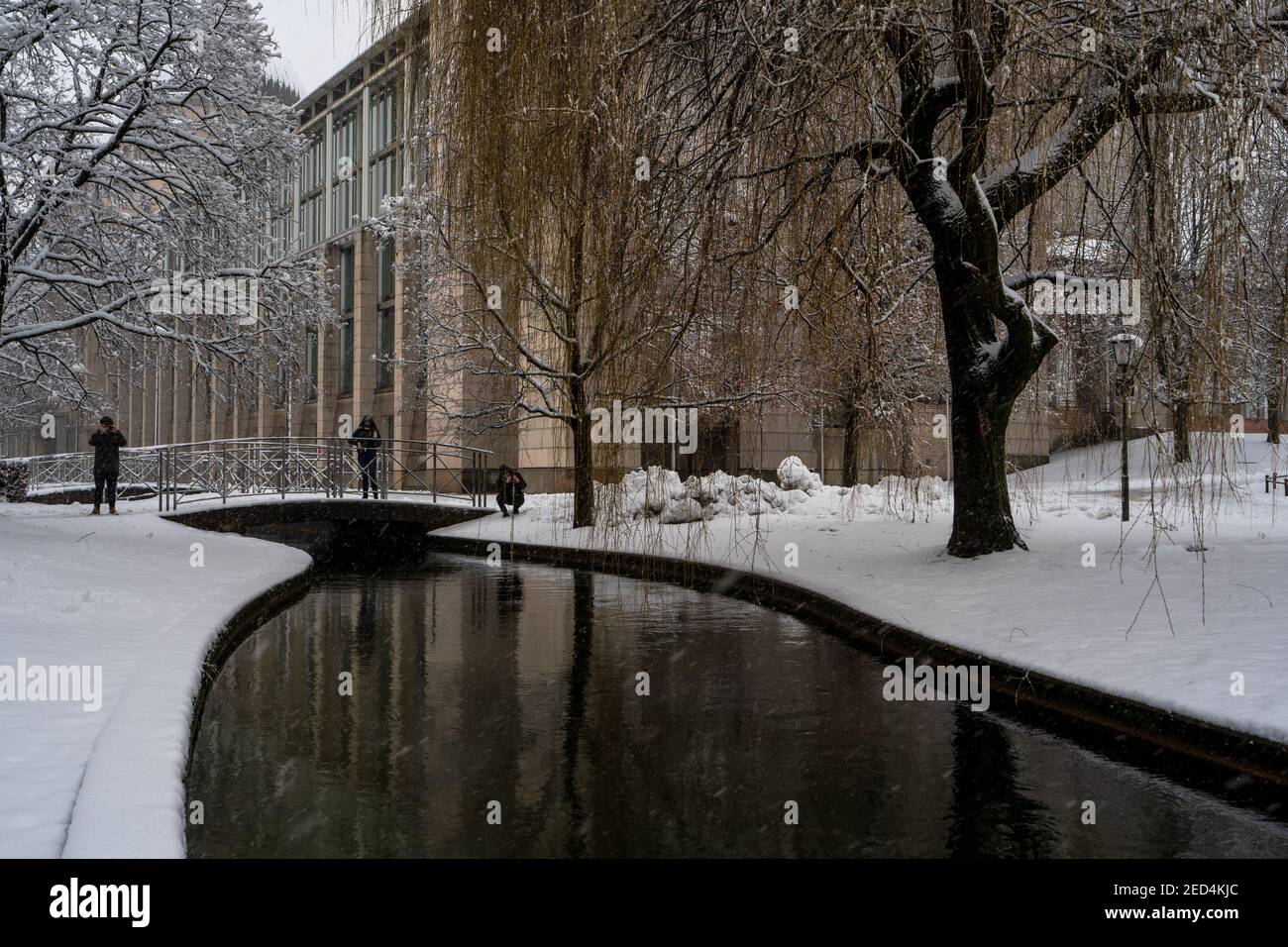 Verschneite, Winterpark und Wasserszenen in München. Stockfoto