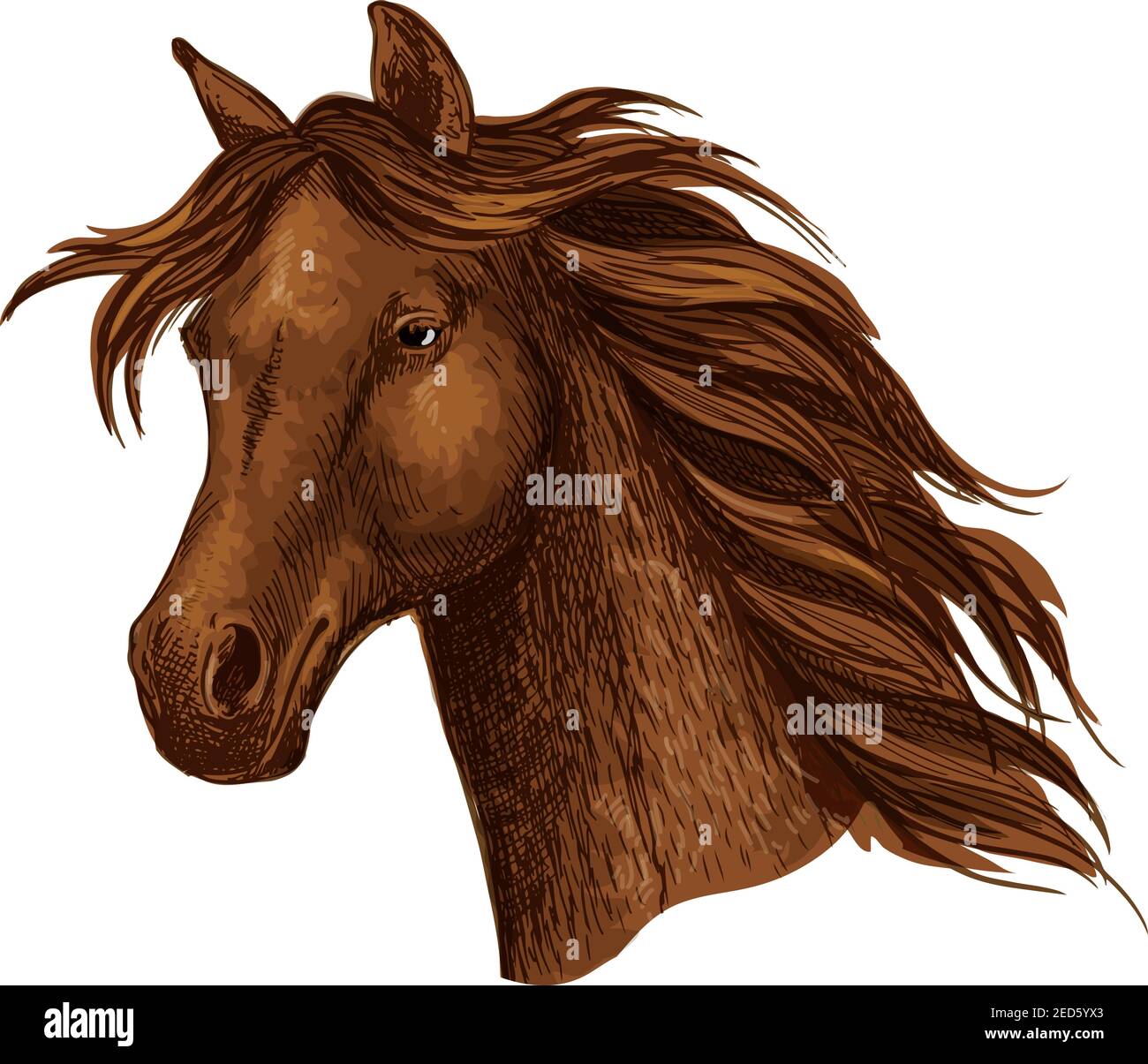 Arabian braun Pferderennen Sport Emblem. Kräftiger, reinrassige Mustang-Hengst trabte. Pferdestute mit welliger Mähne Stock Vektor