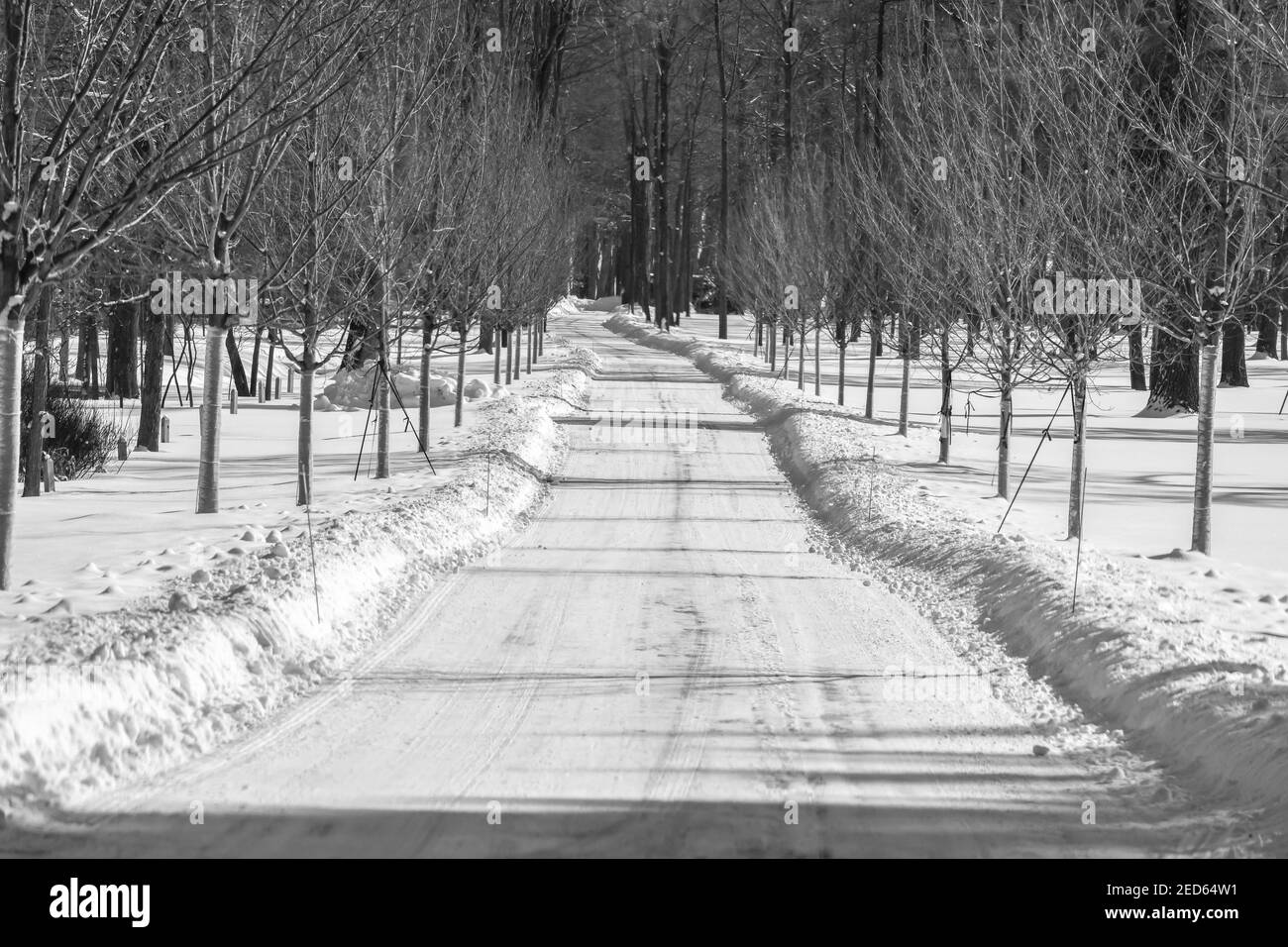 Leere verschneite Straße im Winter Stockfoto