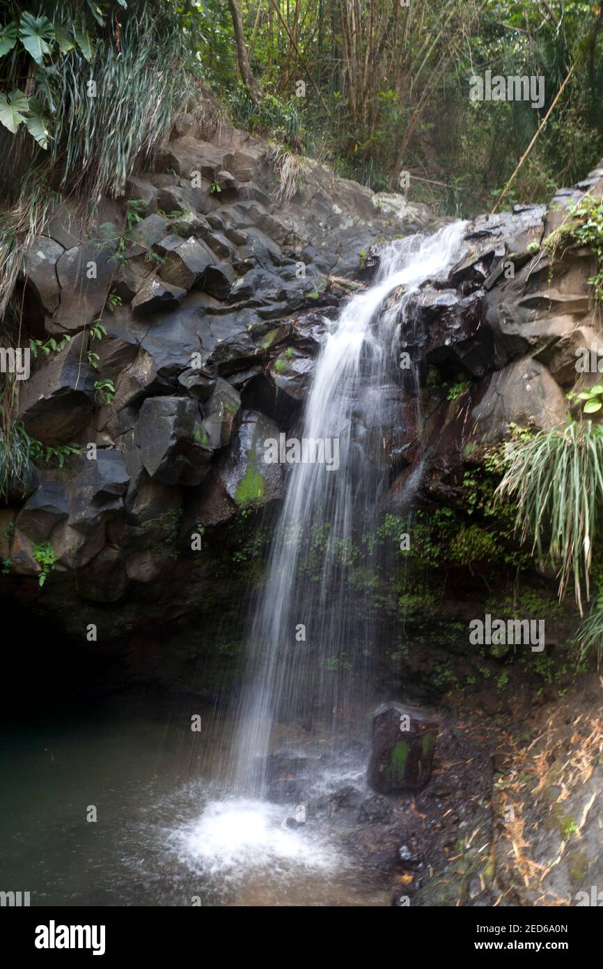 annandale Wasserfall Grand Etang Nationalpark grenada windward Inseln Westen indies Stockfoto