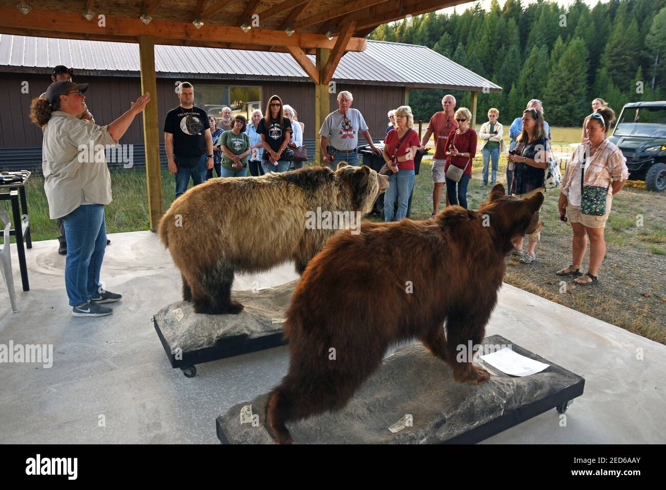 Kim Annis vom Montana Department of Fish, Wildlife and Parks, spricht mit Yaak Gemeinschaft während der Bear Aware Präsentation. (Foto von Randy Beacham) Stockfoto